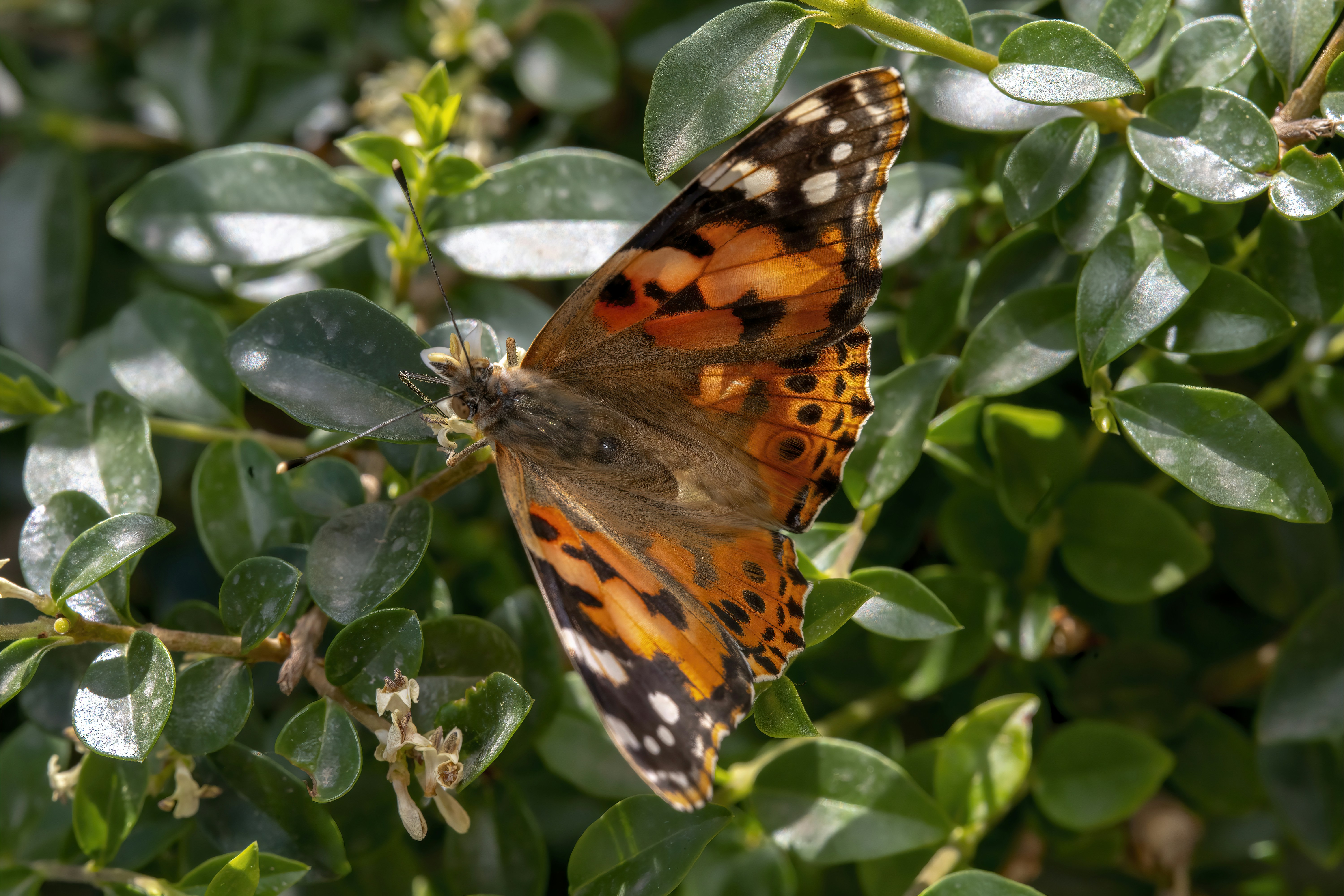 Photo by akbarnemati