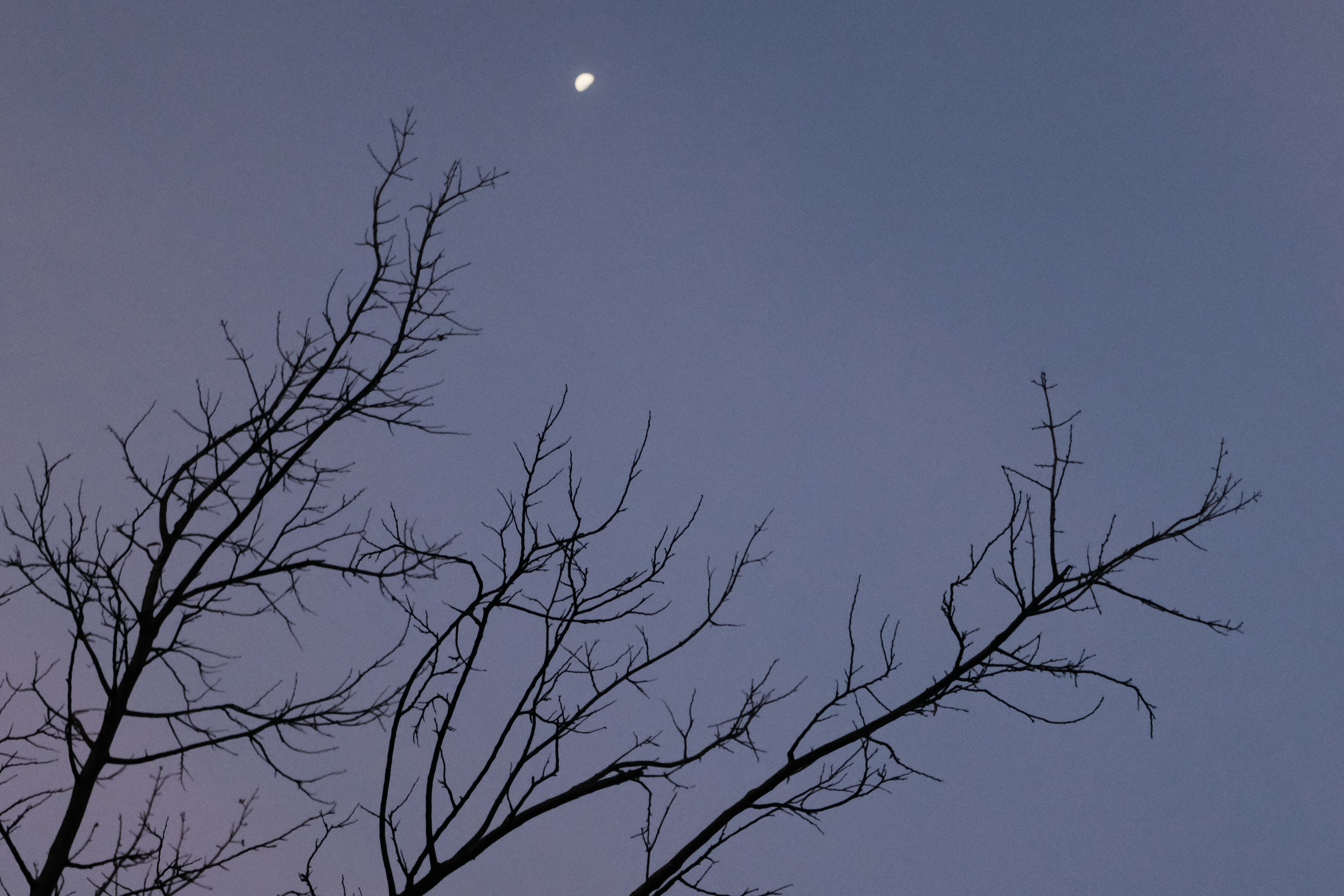 Photo by danishprakash