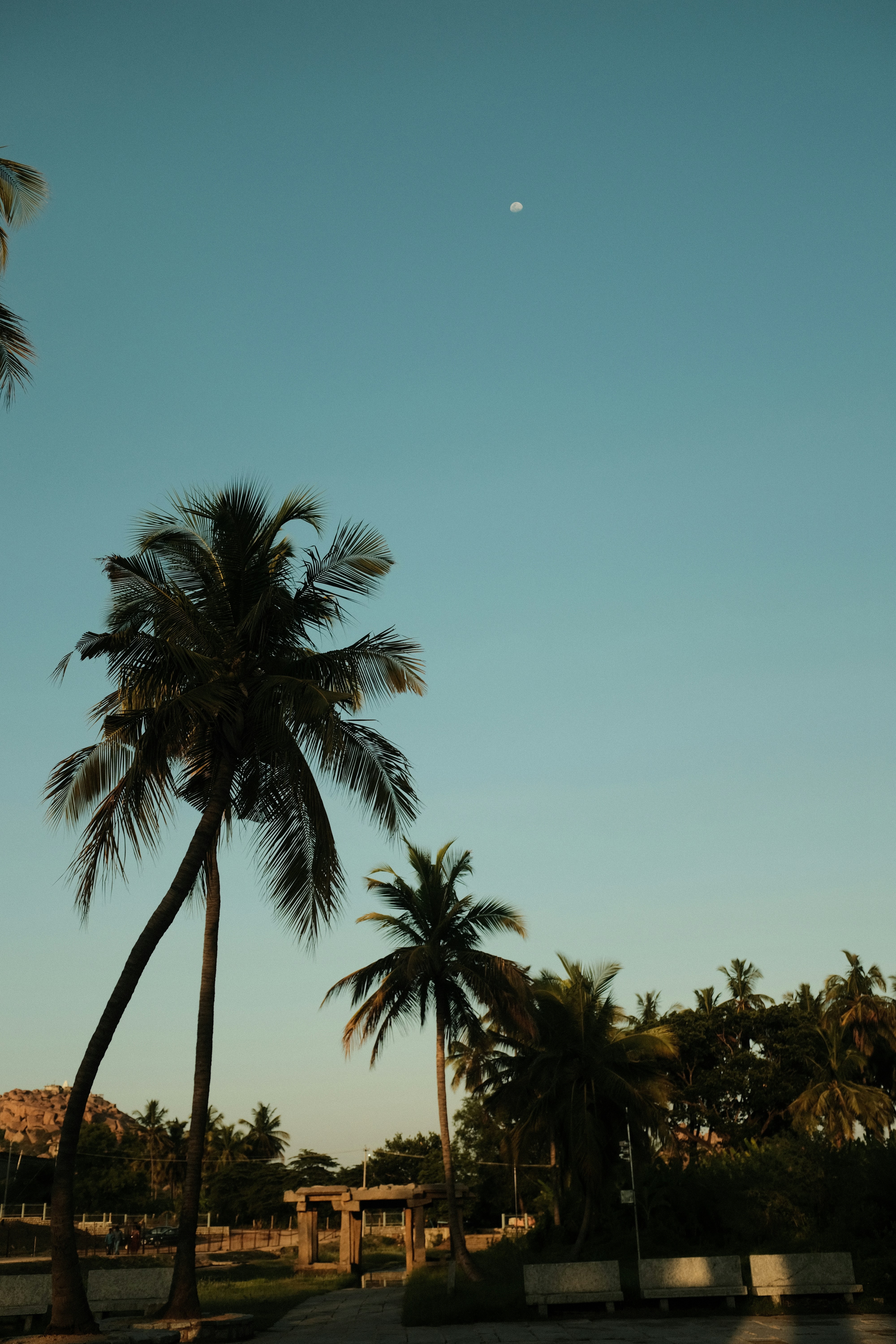 Photo by danishprakash