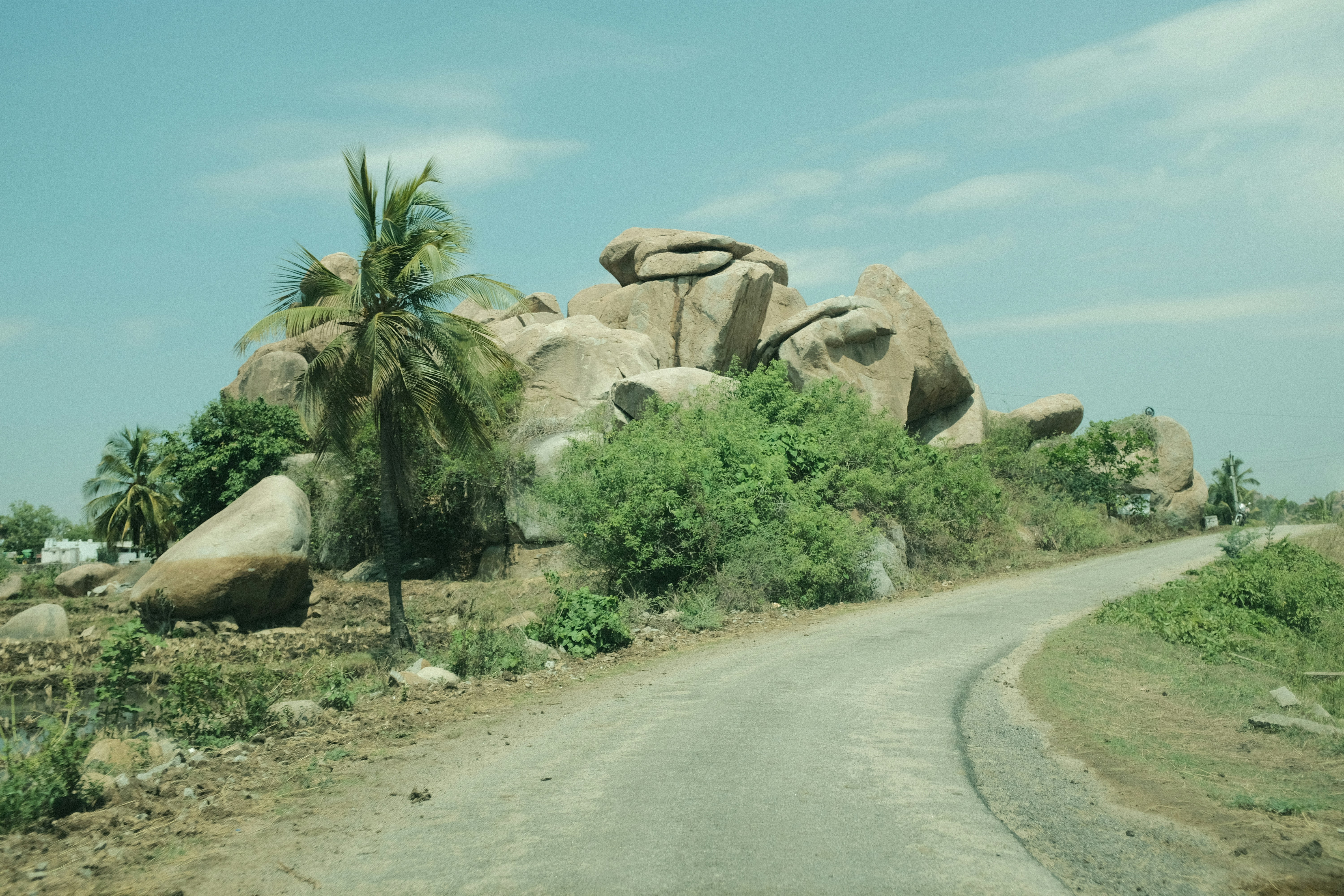 a dirt road surrounded by palm trees and large rocks