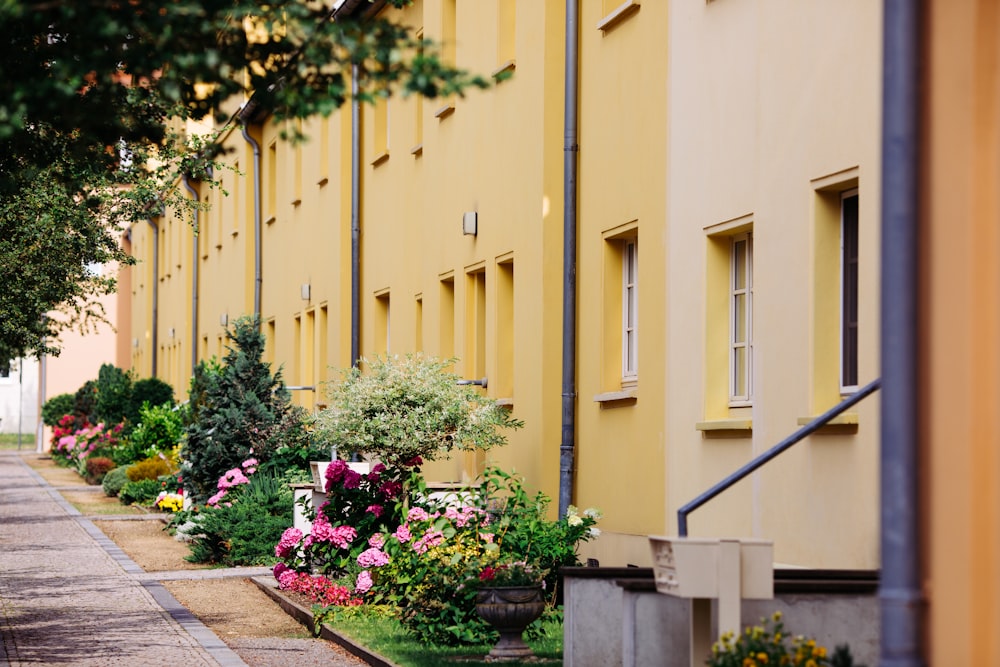 a row of yellow buildings with flowers in front of them