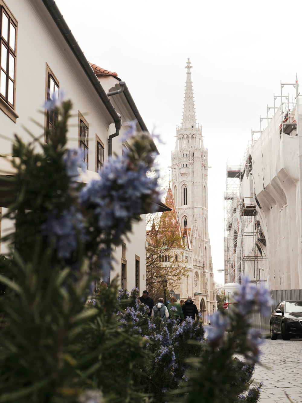 a building with a steeple in the background and blue flowers in the foreground