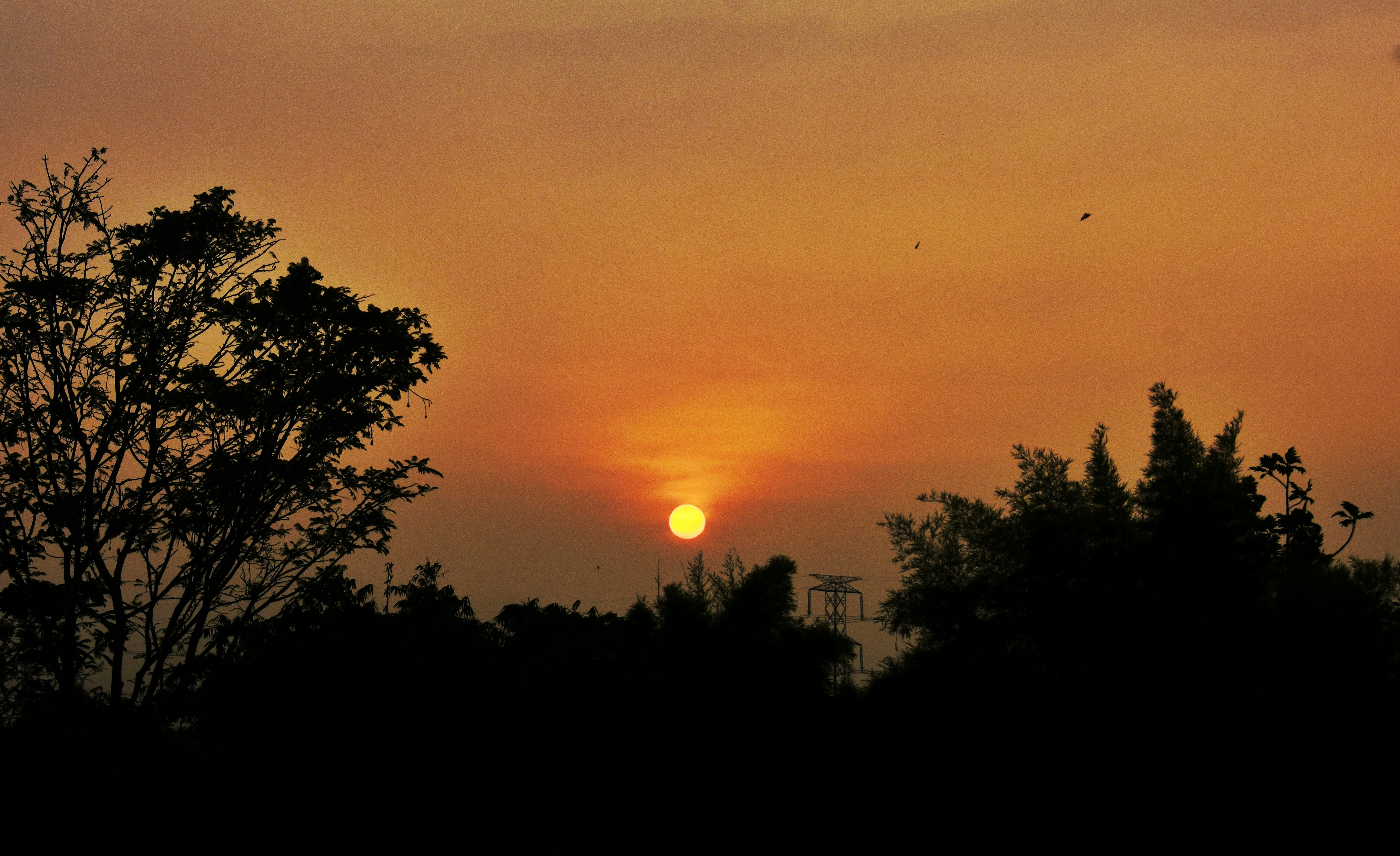 Photo by photodaribelva