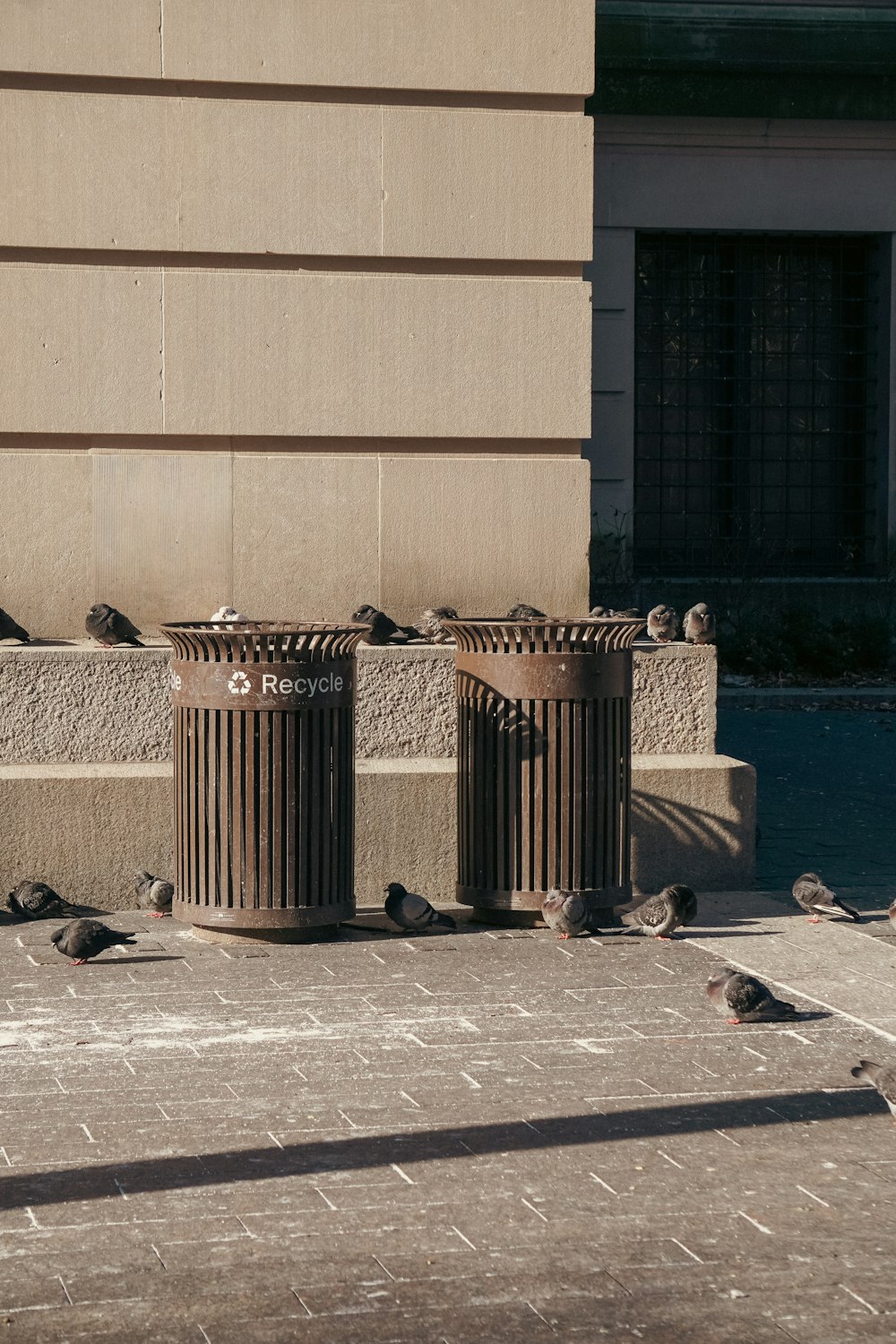 Un grupo de pájaros sentados encima de botes de basura