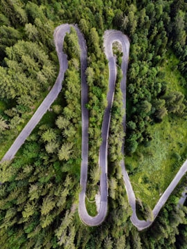 An aerial view of a scenic road winding through forests.