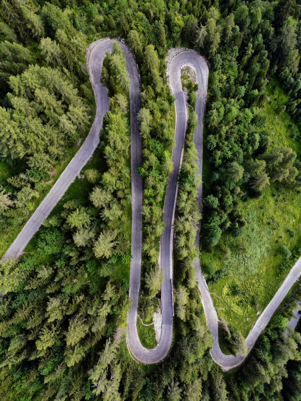 a winding road in the middle of a forest