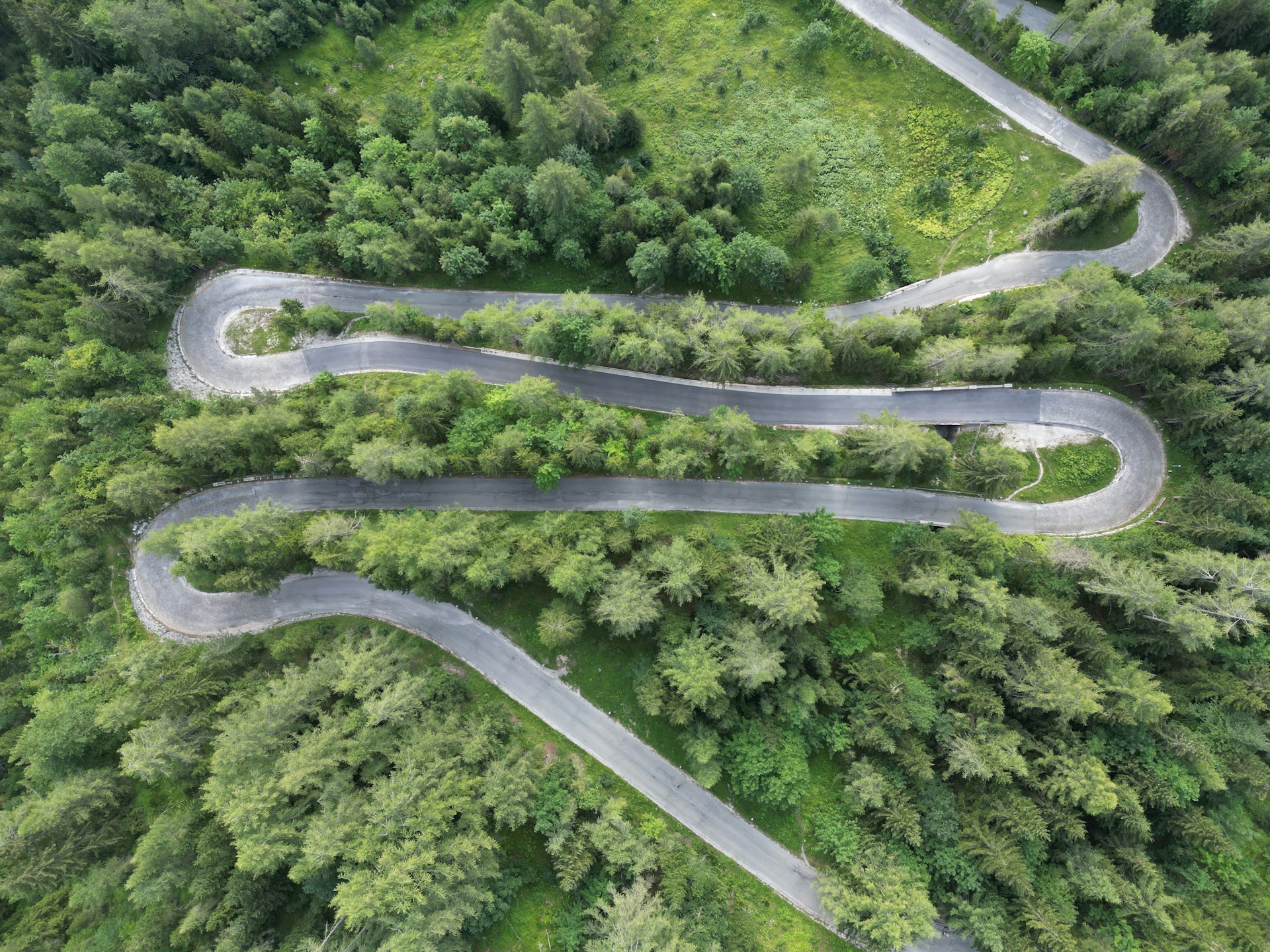 a winding road in the middle of a forest