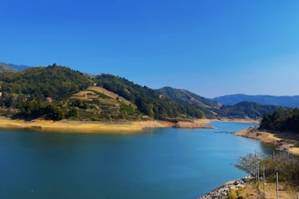 A serene landscape showing the harmony of nature and agriculture.