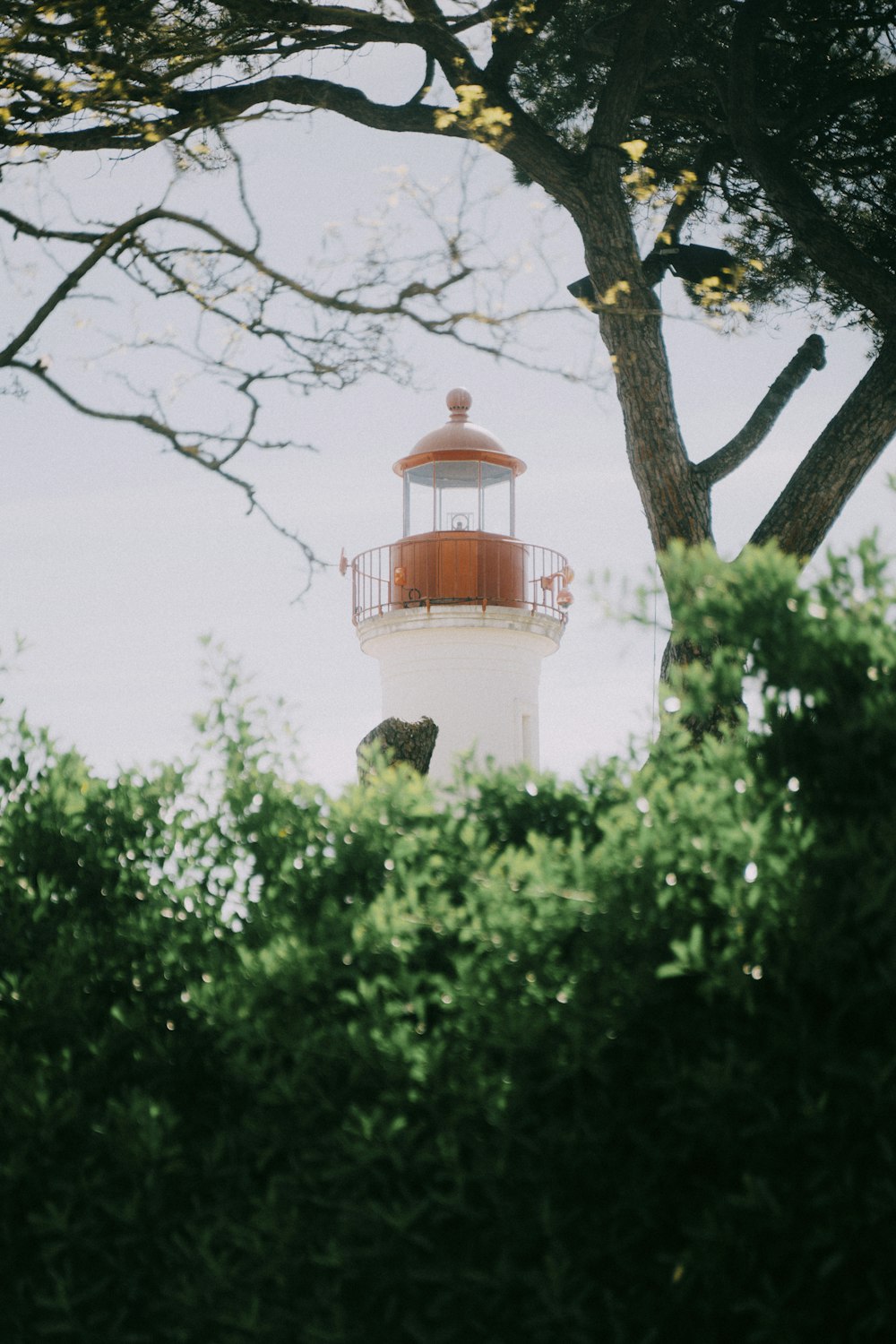 um farol branco e vermelho cercado por árvores