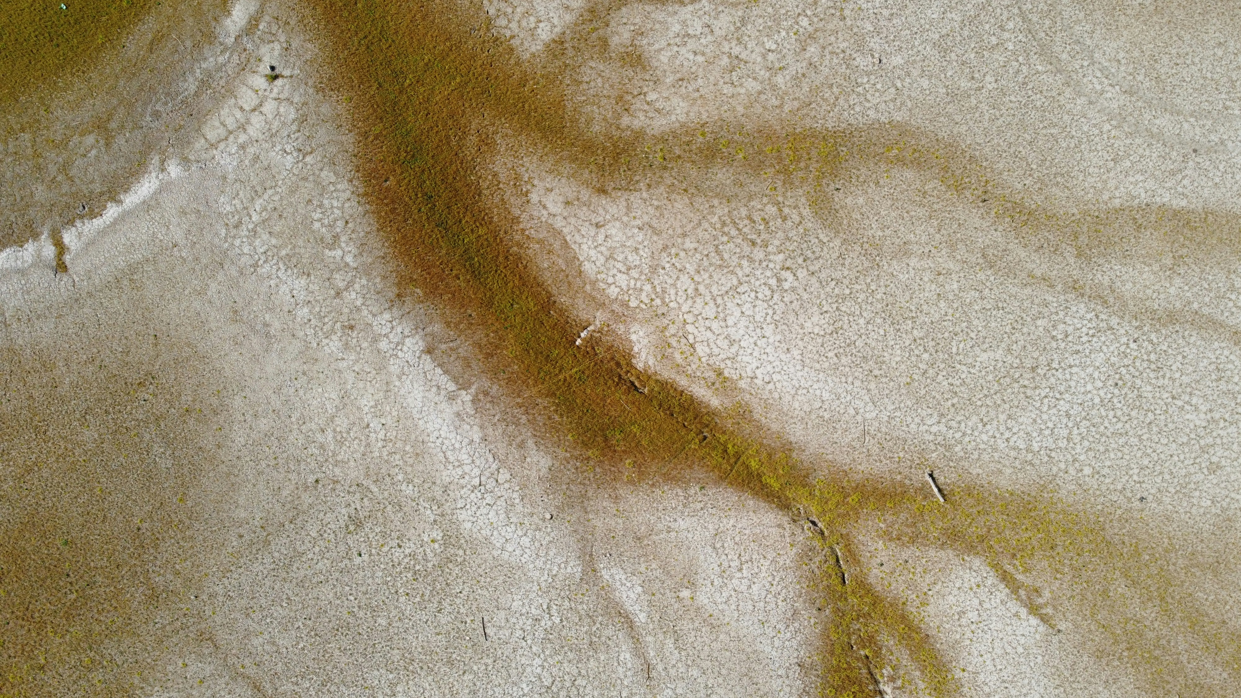 woman wearing yellow long-sleeved dress under white clouds and blue sky during daytime