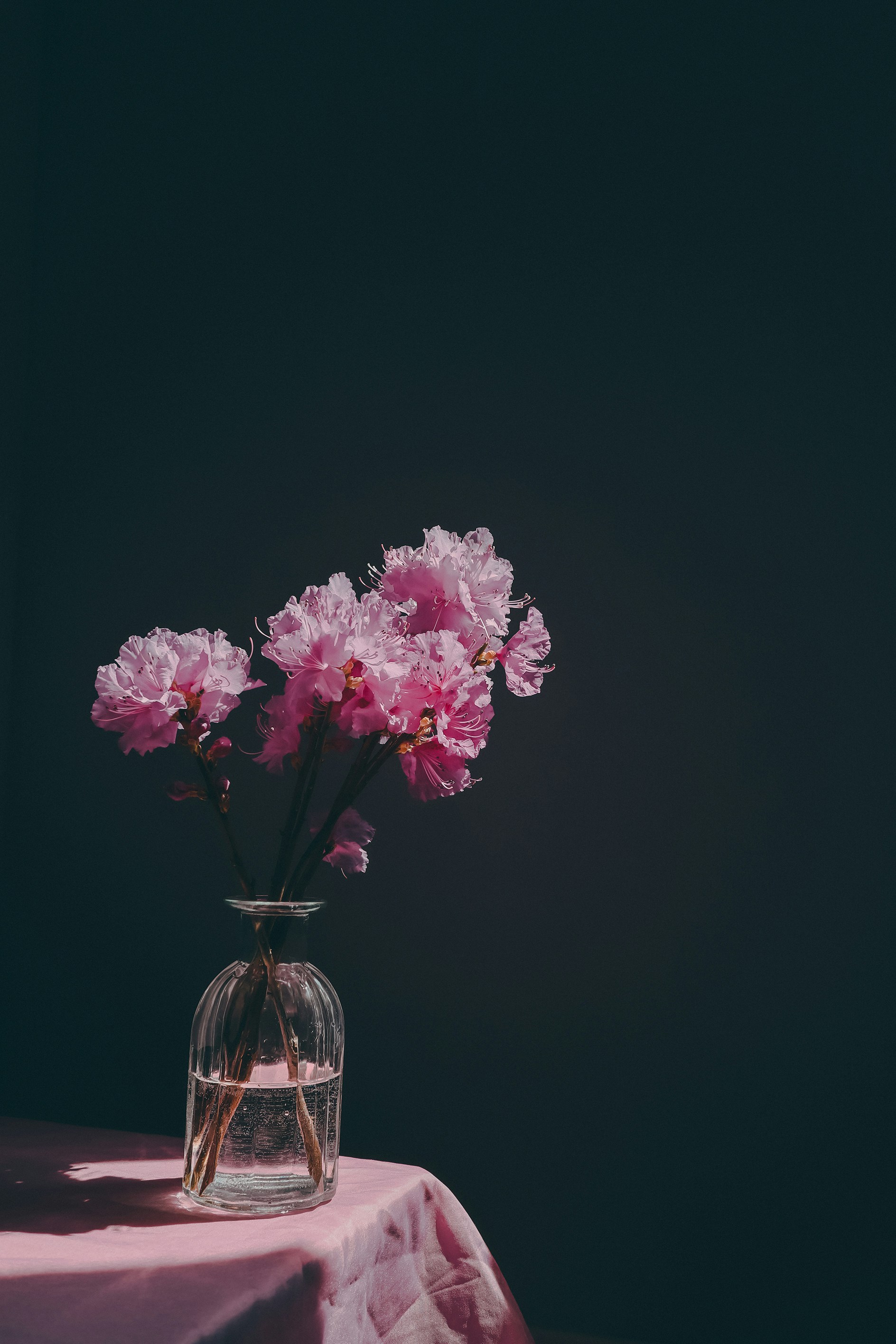 Photo by babybluecat