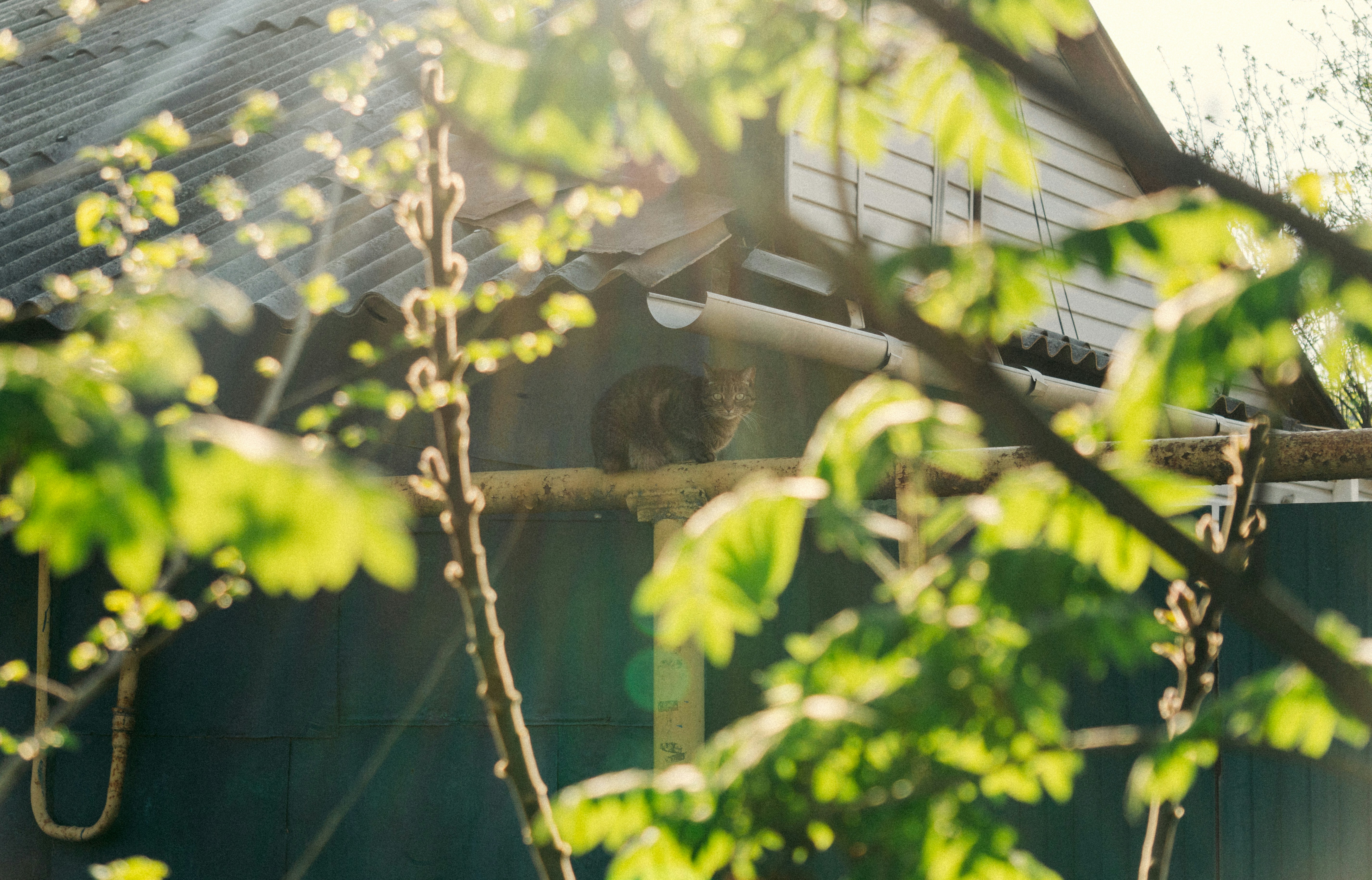 Photo by angrygrandmama