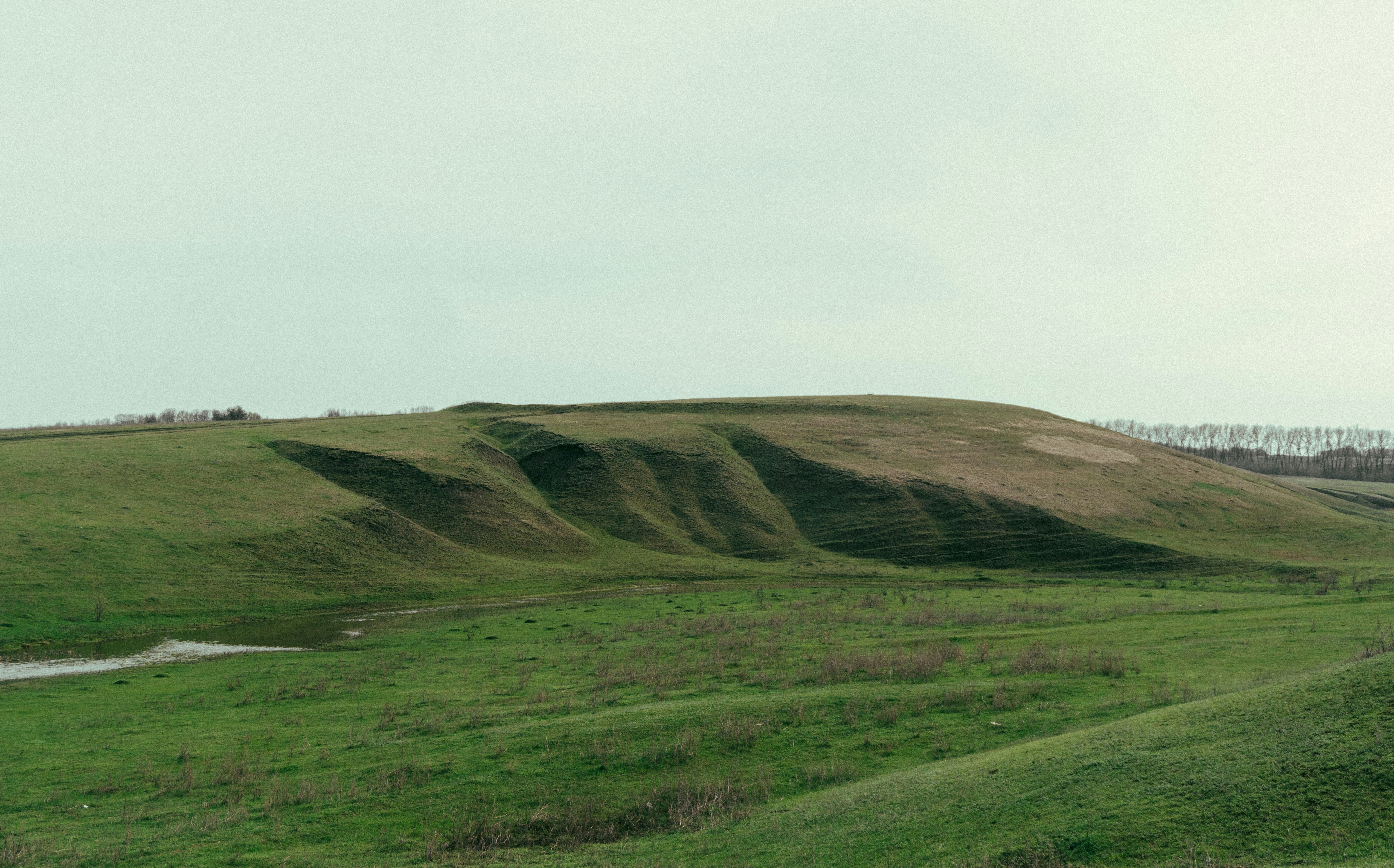 Photo by angrygrandmama