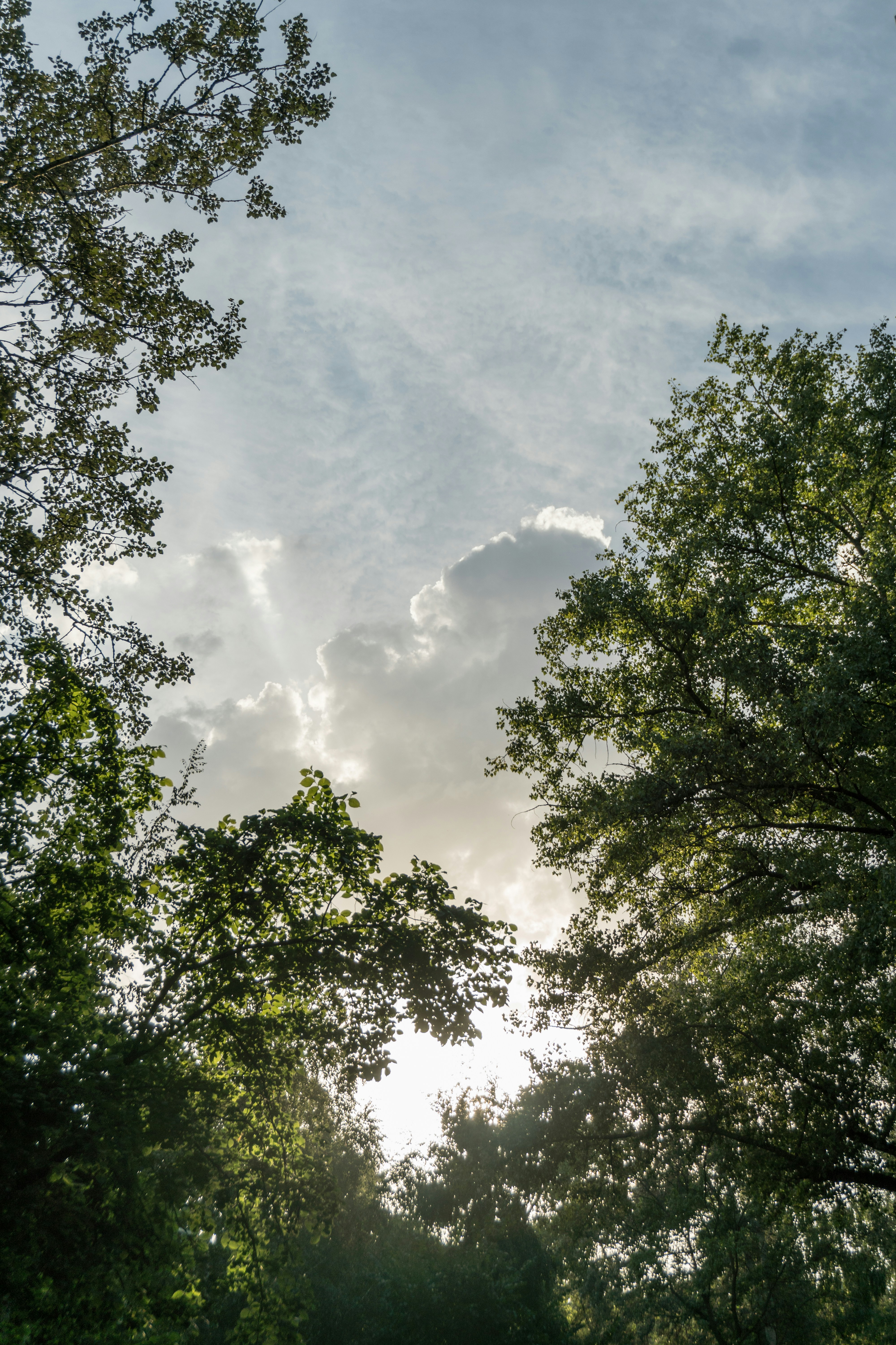 Photo by angrygrandmama