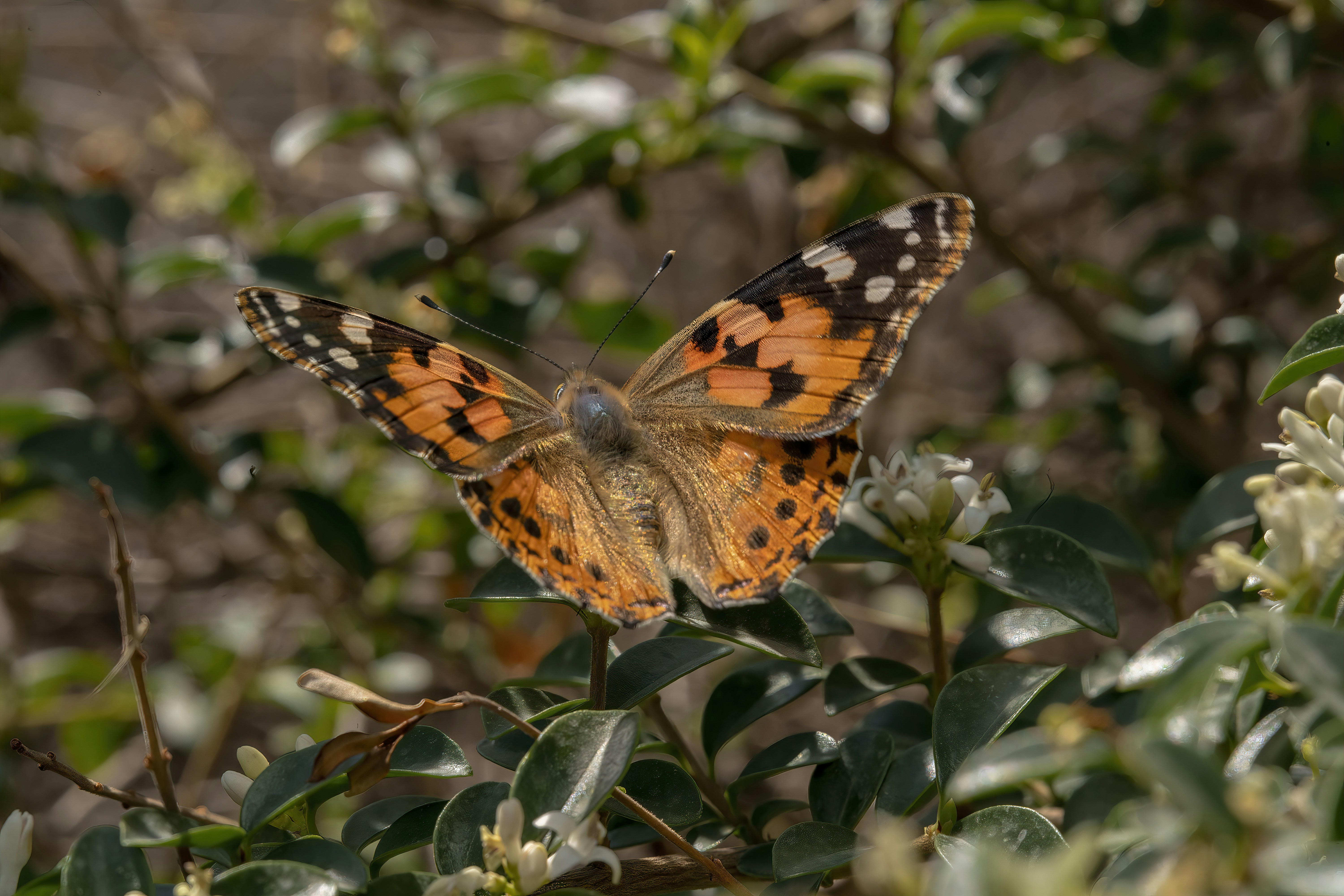 Photo by akbarnemati