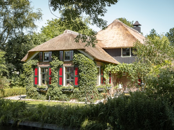 Photo HDR d'un jardin