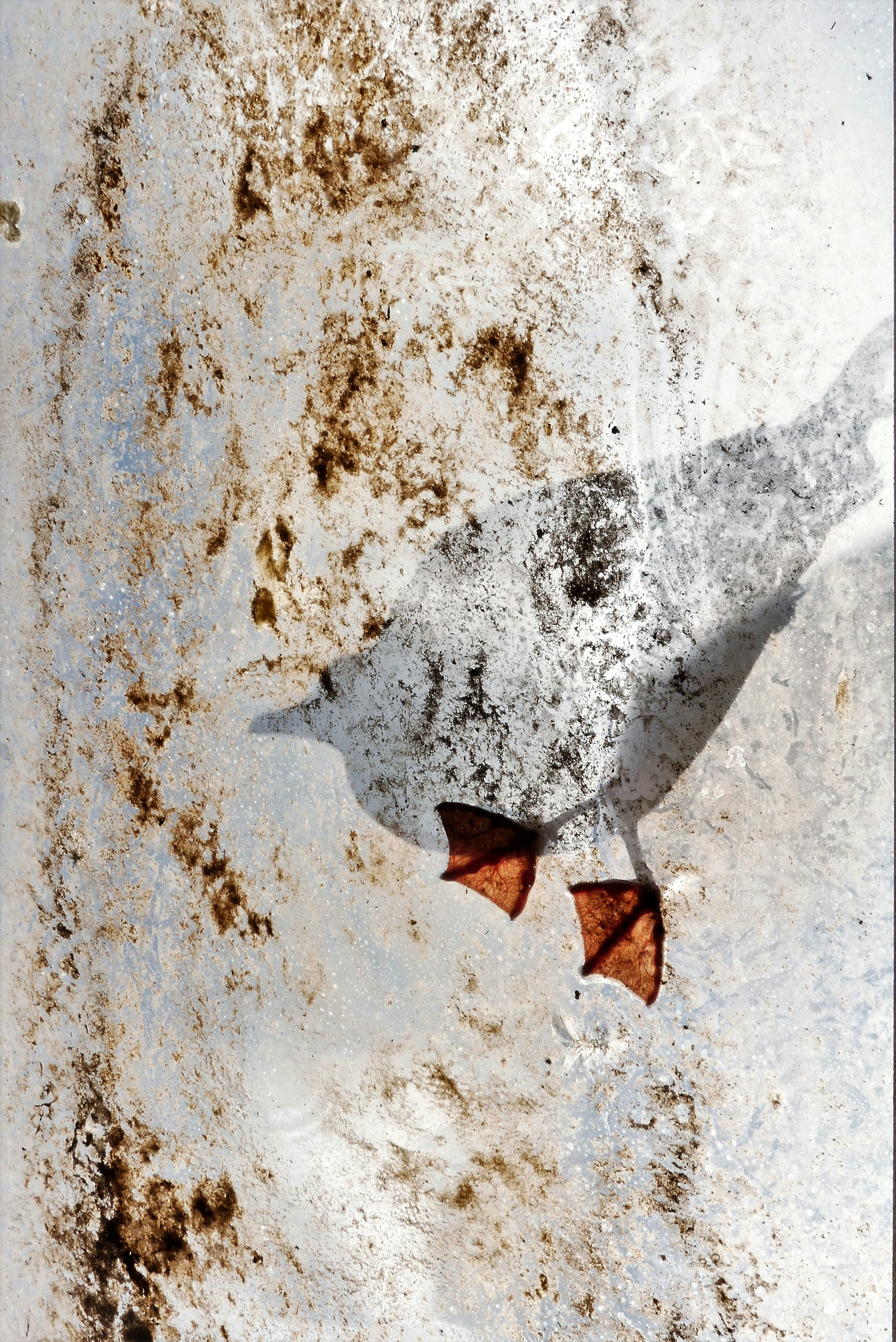 Photo by chignonchic