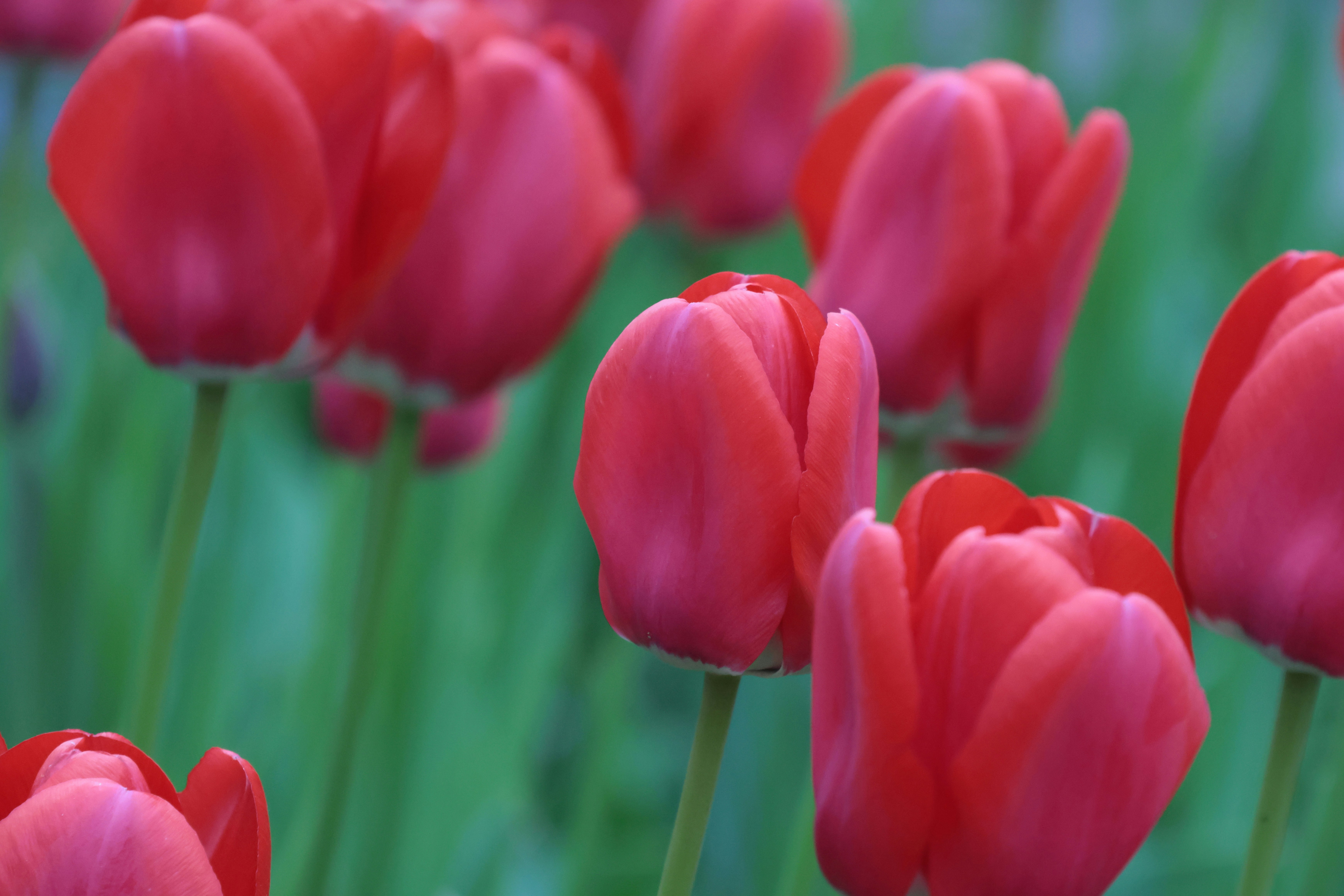 Photo by milanspanik_photo