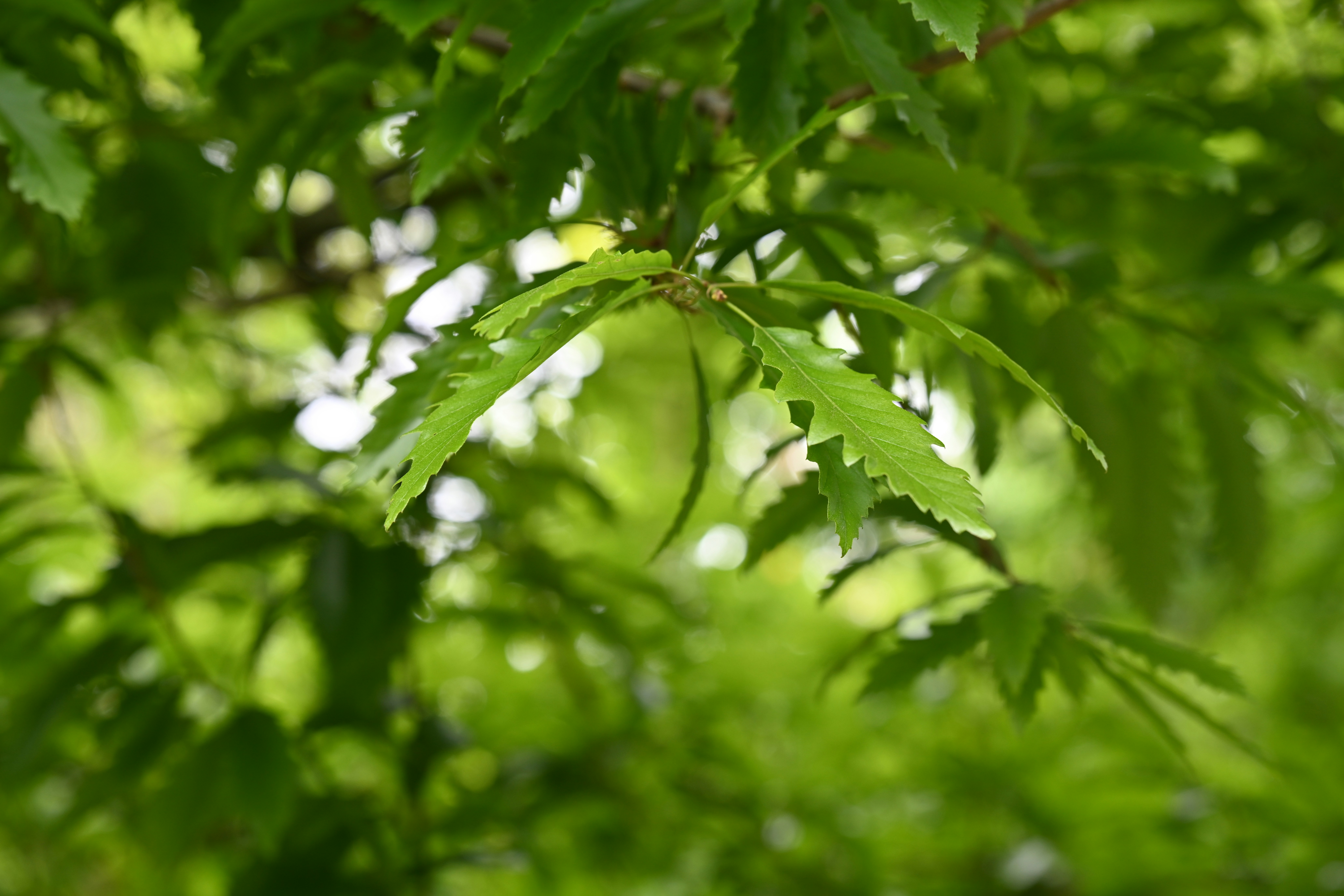 Photo by theunknownaldiaz