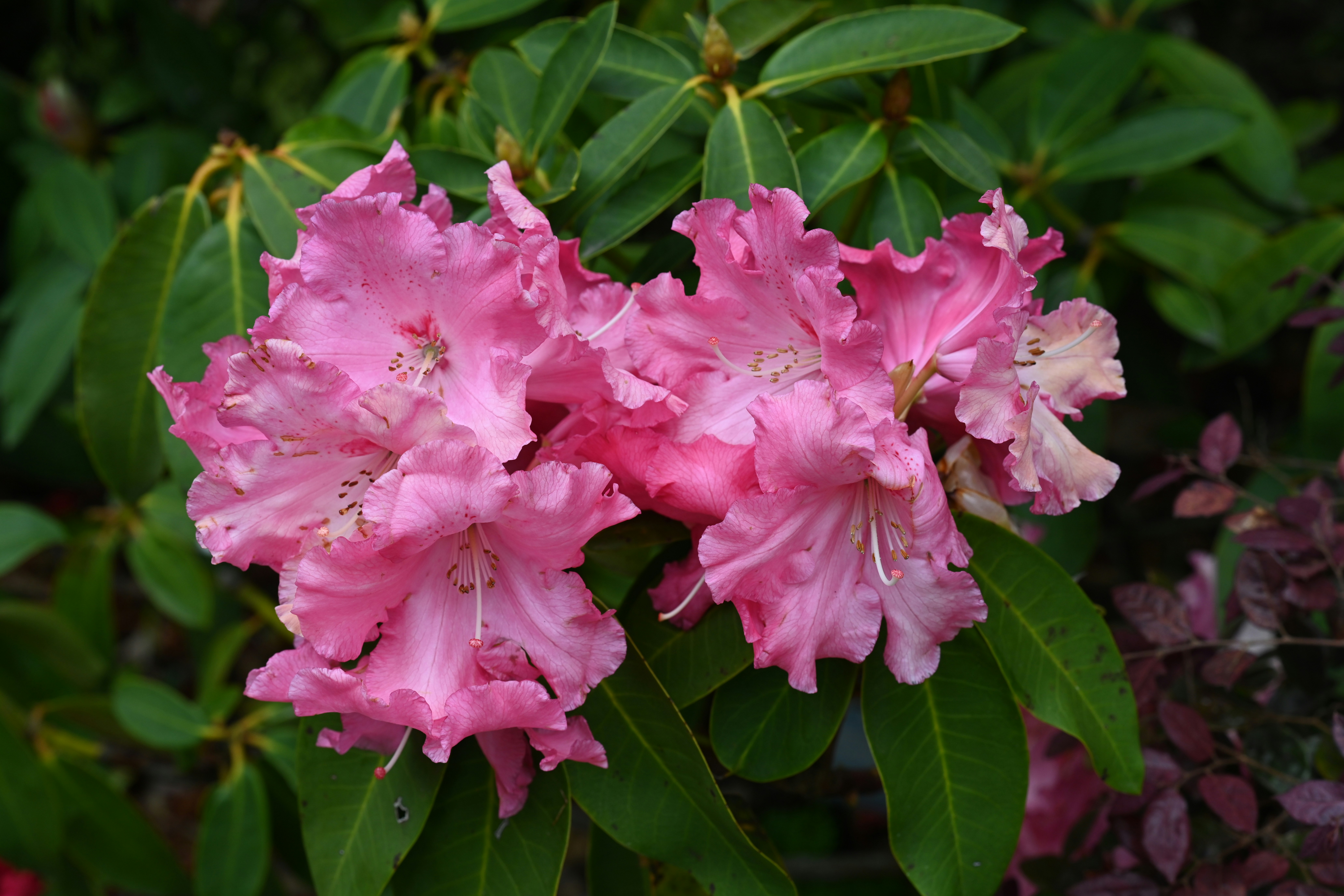 Photo by theunknownaldiaz