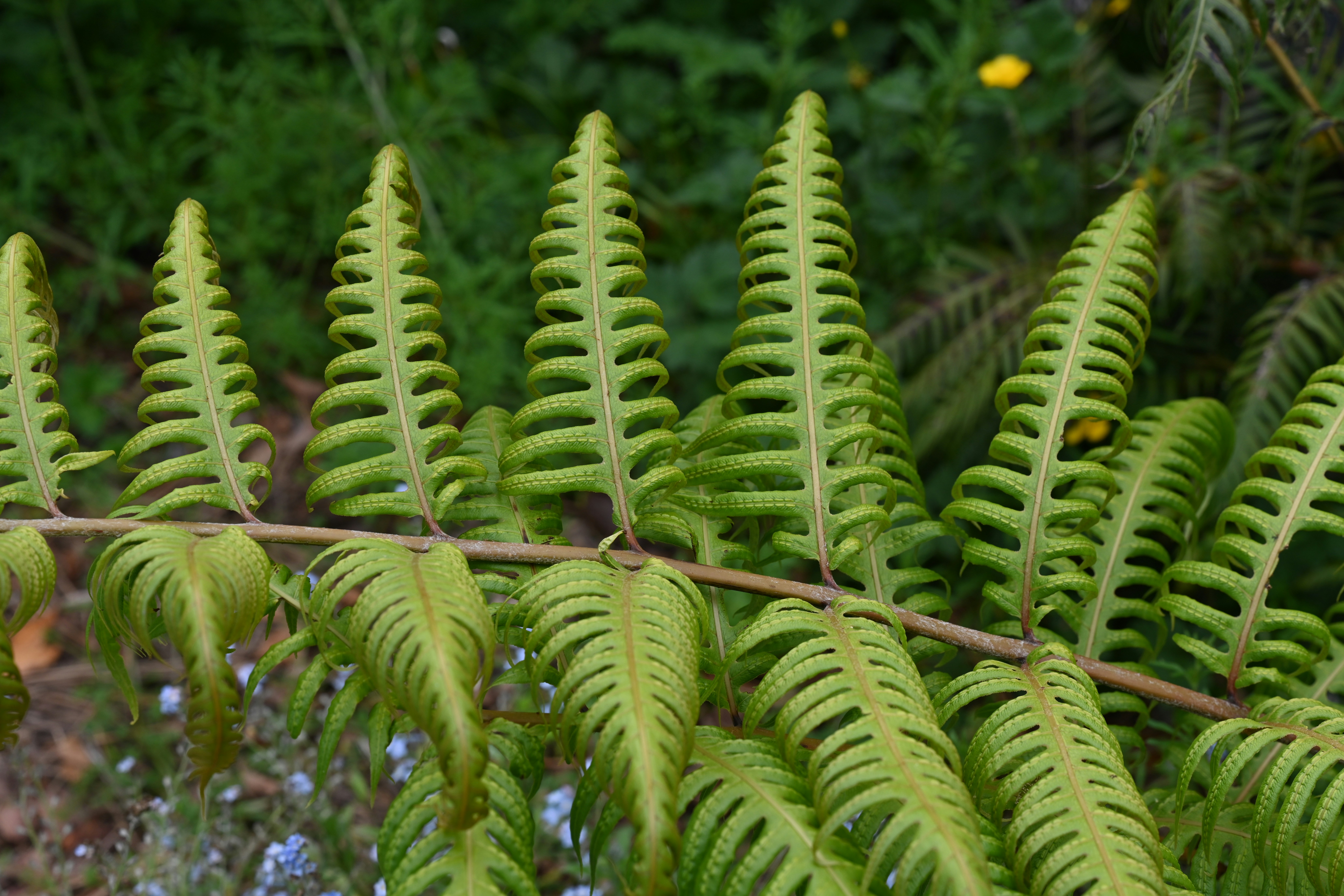 Photo by theunknownaldiaz