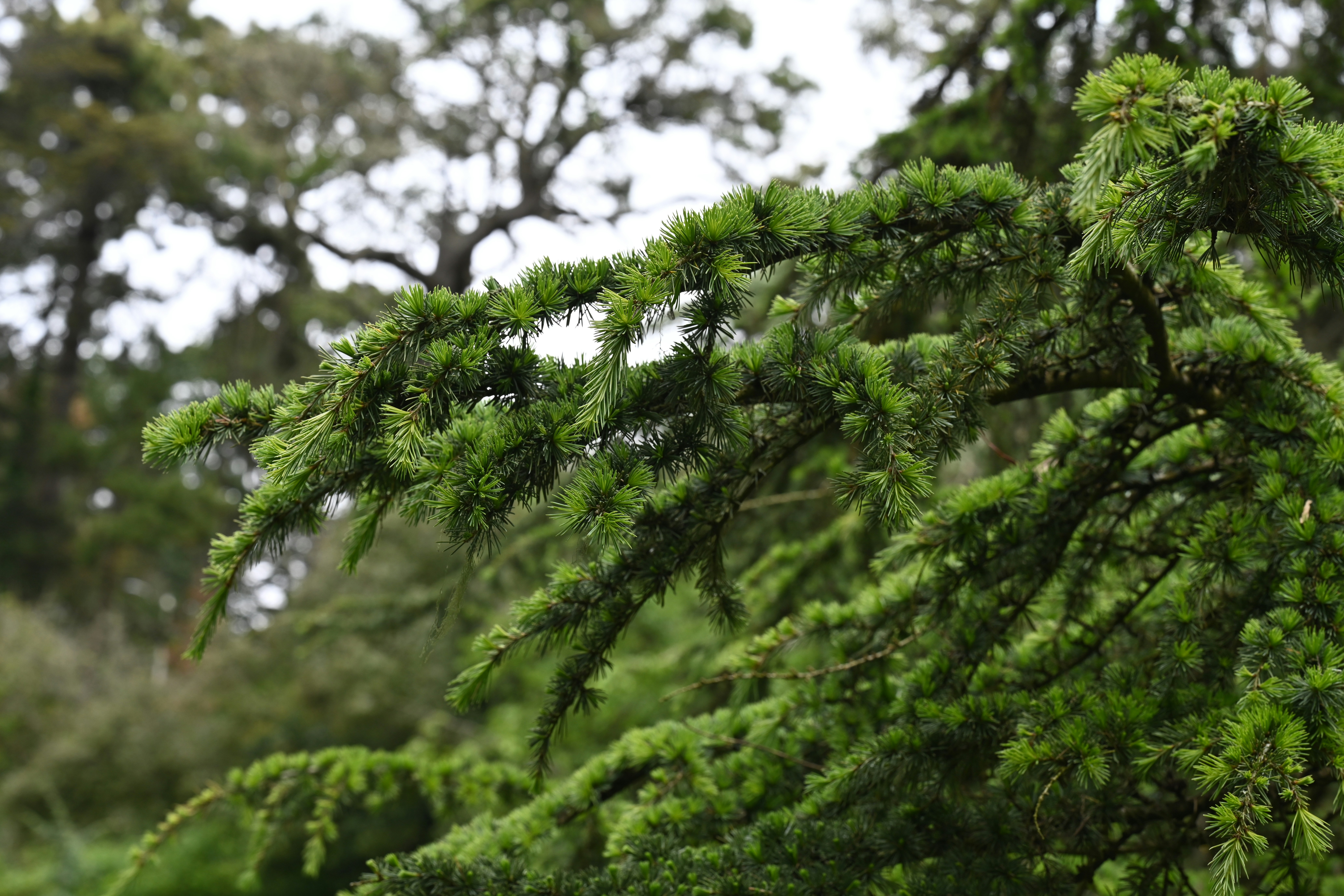 Photo by theunknownaldiaz