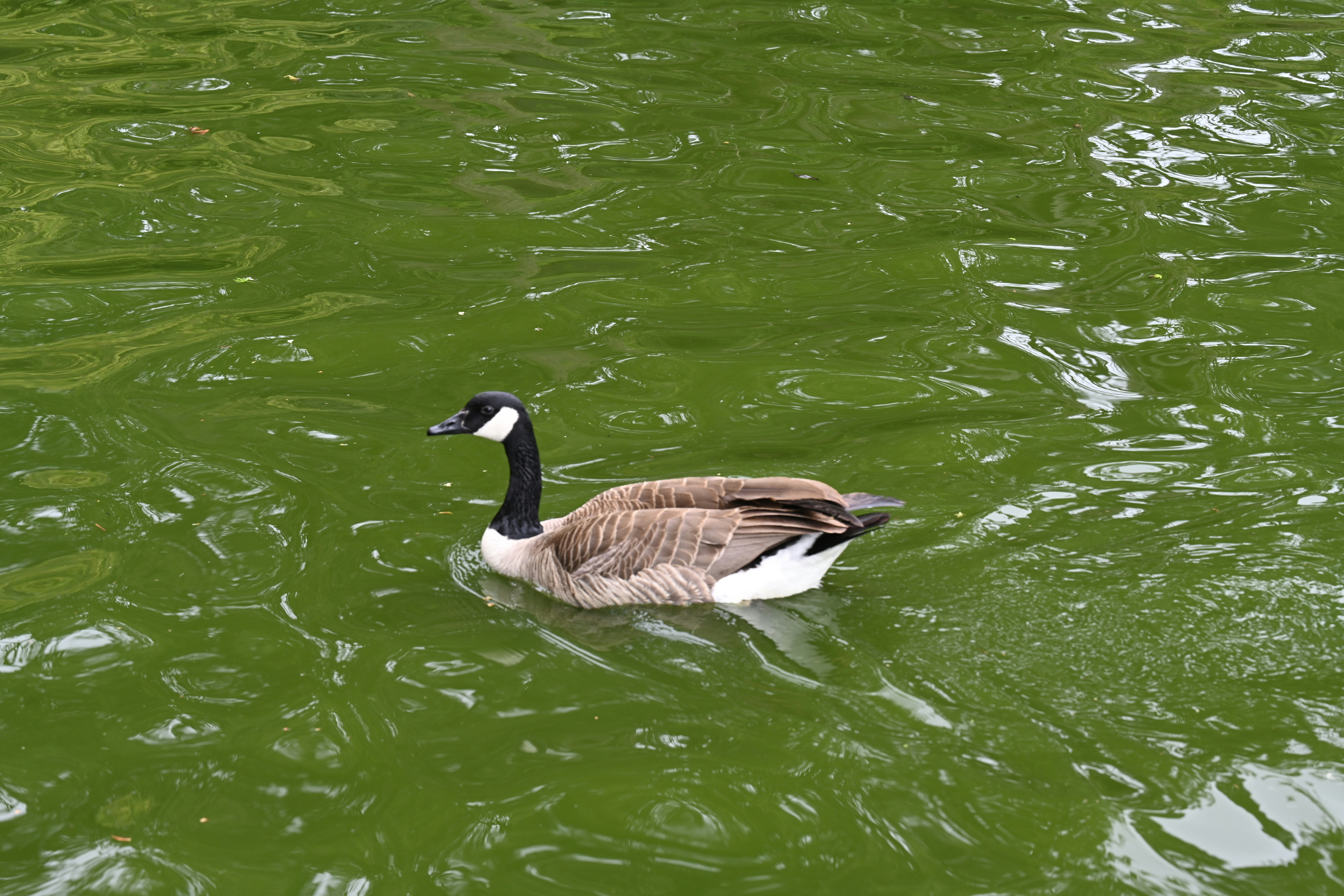 Photo by theunknownaldiaz