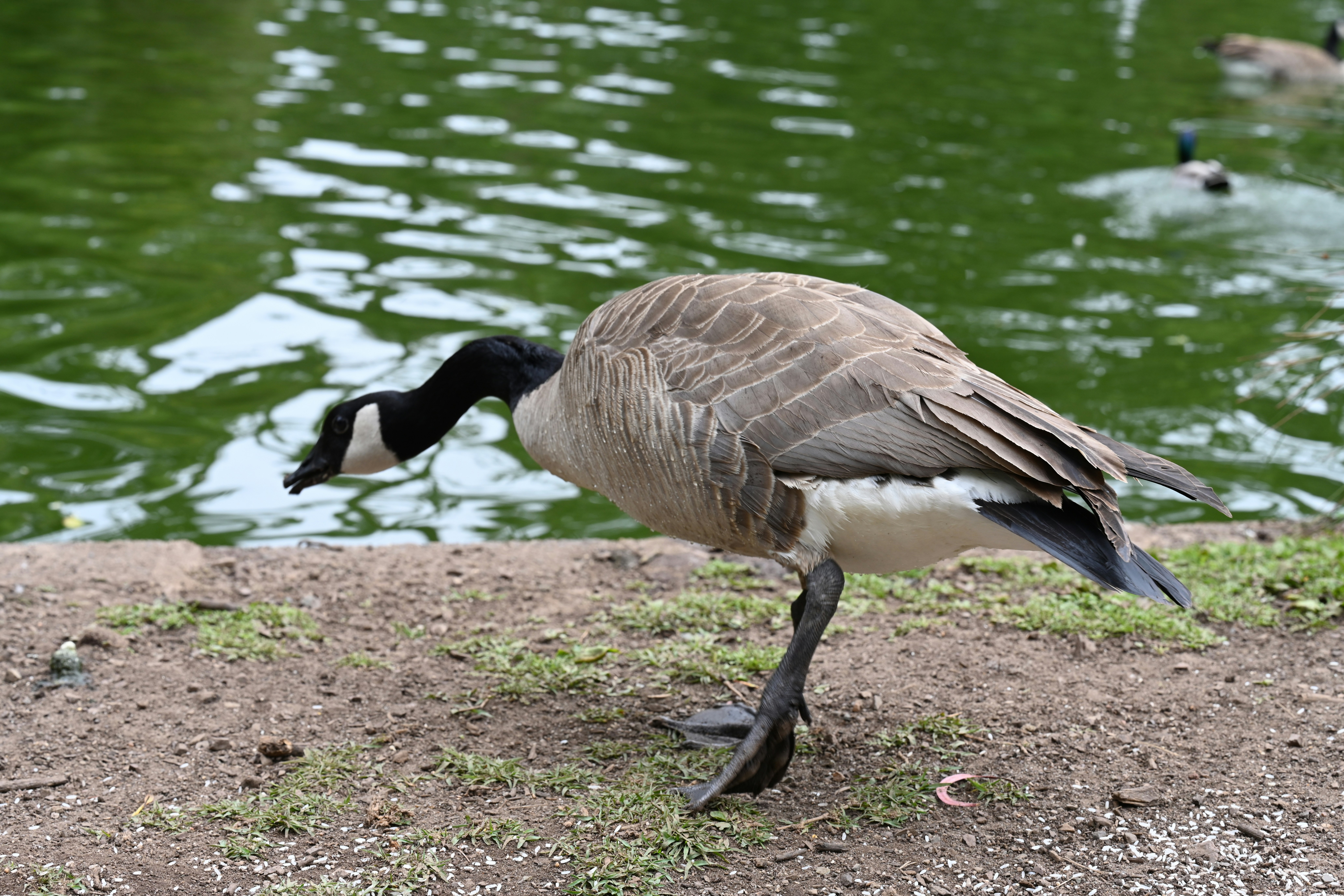 Photo by theunknownaldiaz