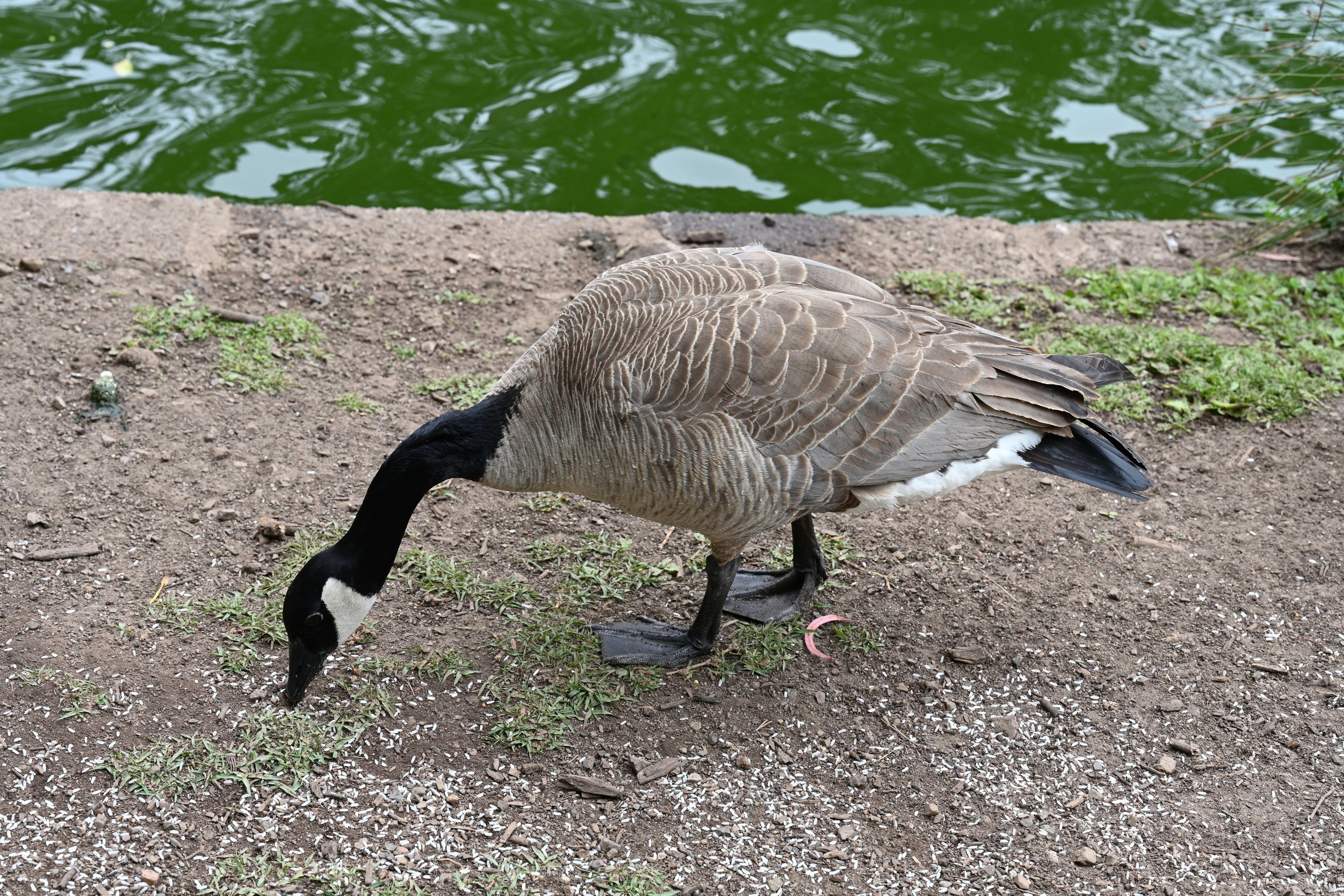 Photo by theunknownaldiaz