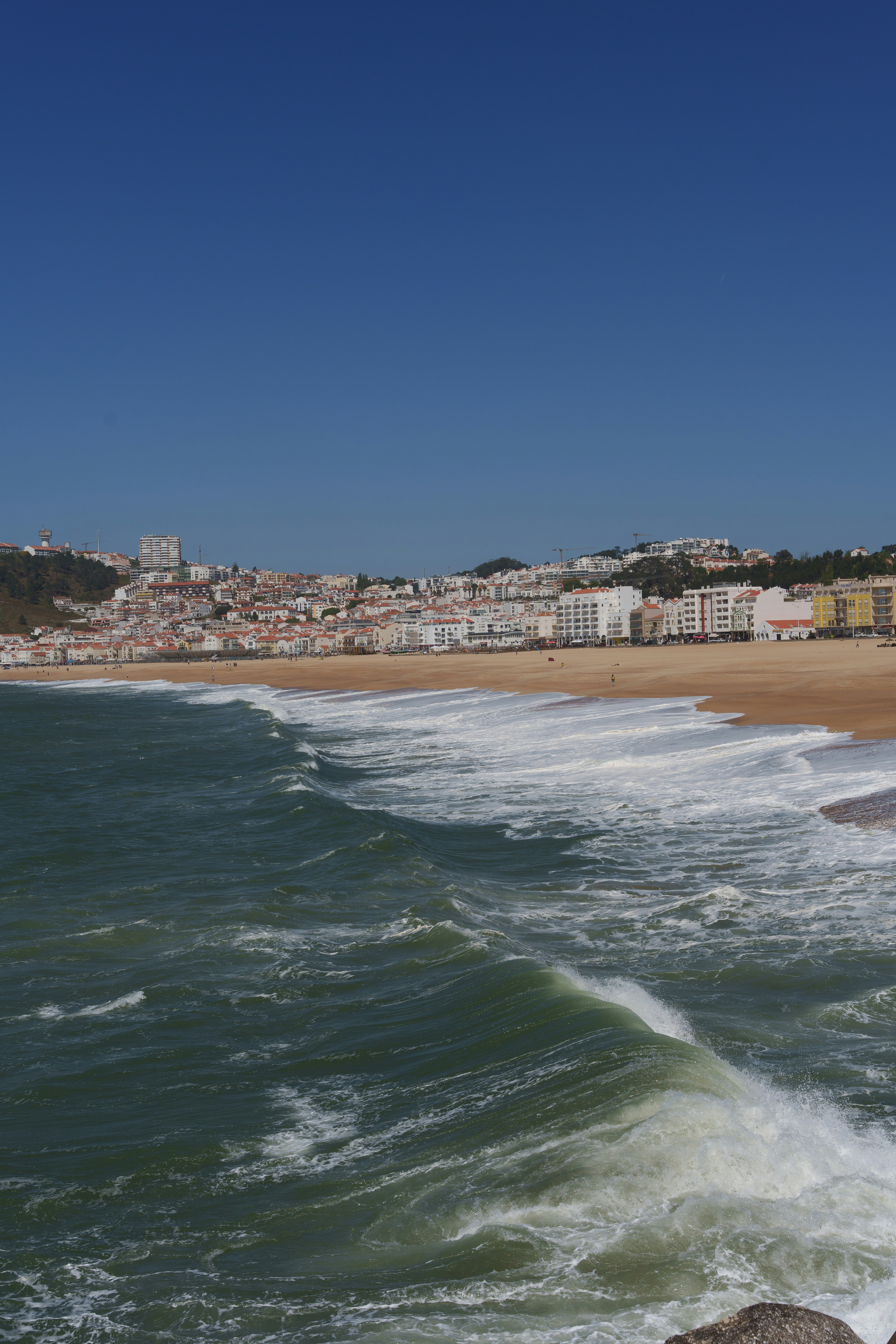 Photo by masoodaslami