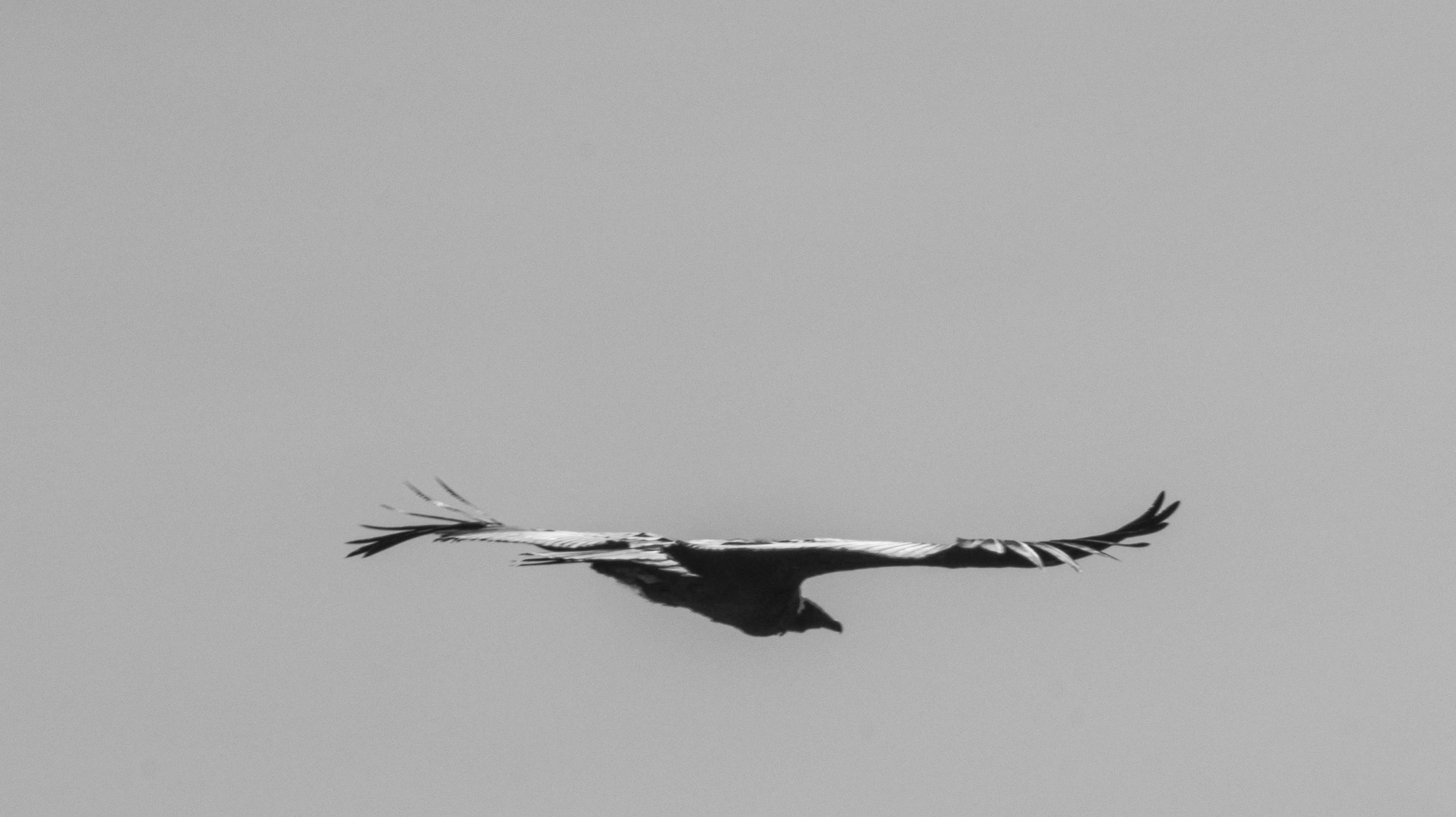 Photo by paulorobles