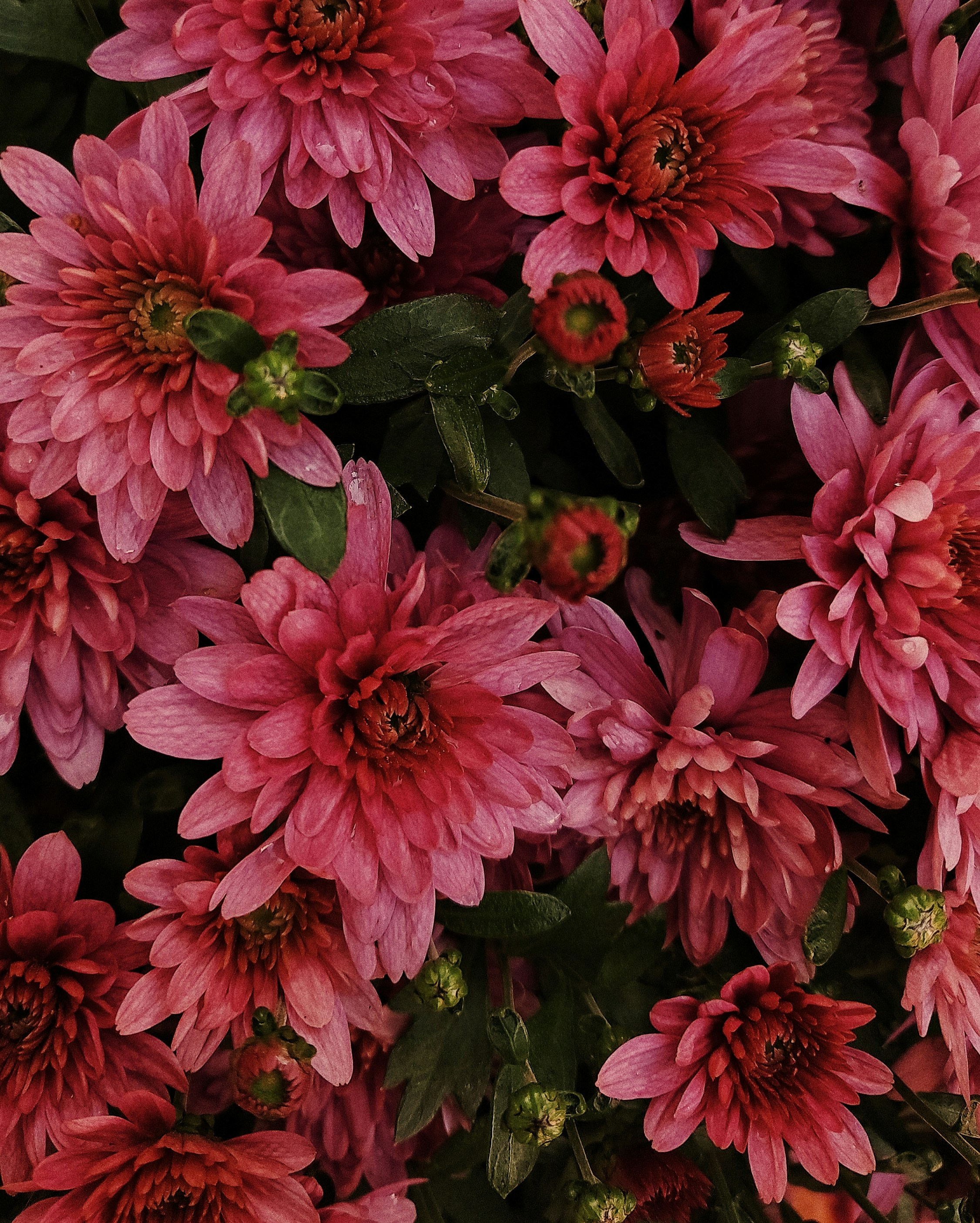 Photo by etonepravda