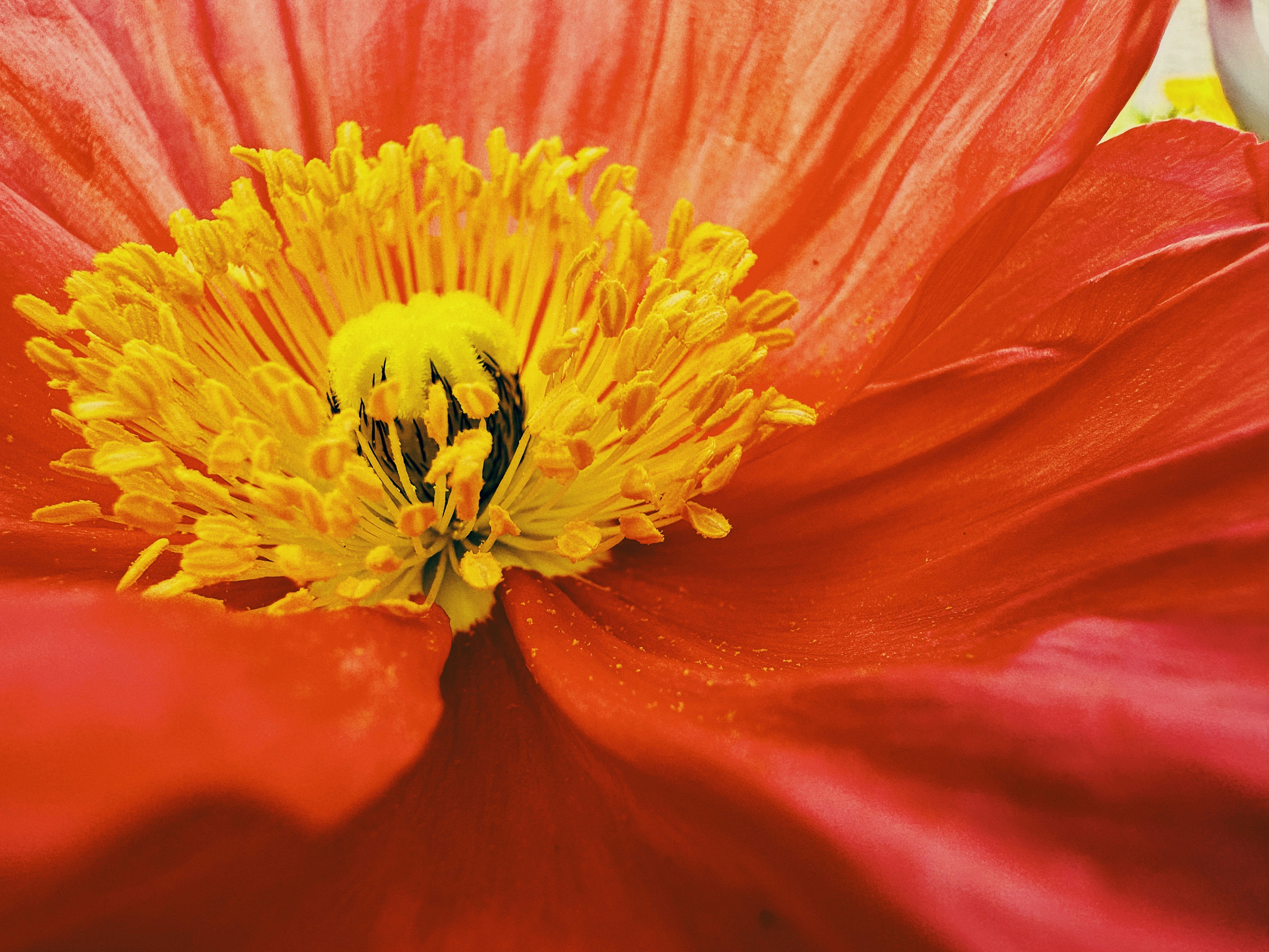 Photo by christopherstites