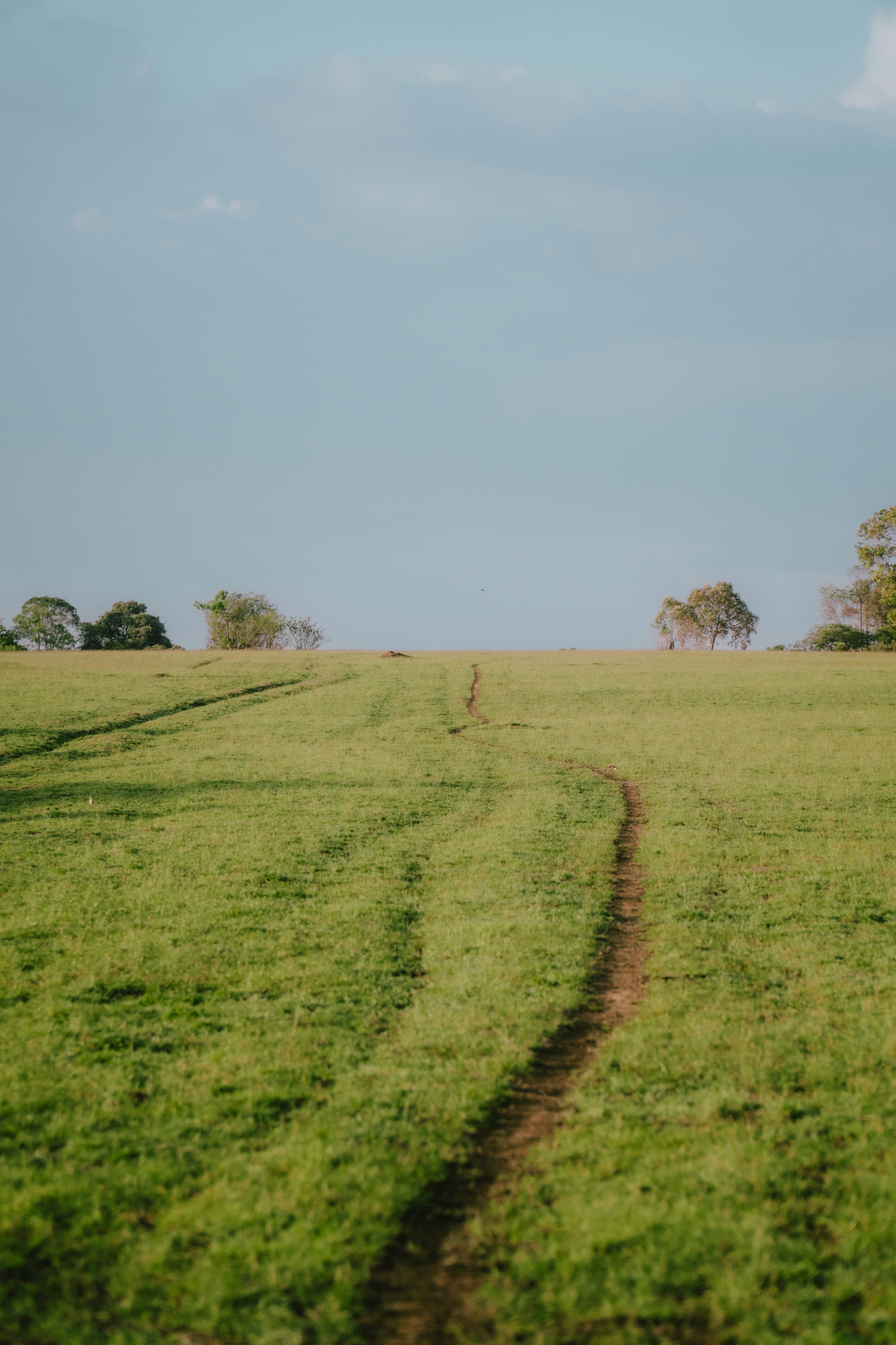 a dirt path in the middle of a grassy field