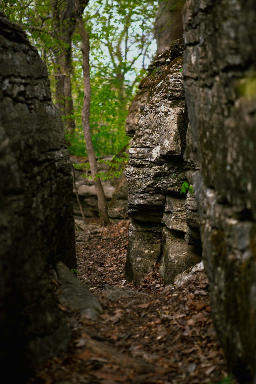 a narrow path between two large rocks in the woods