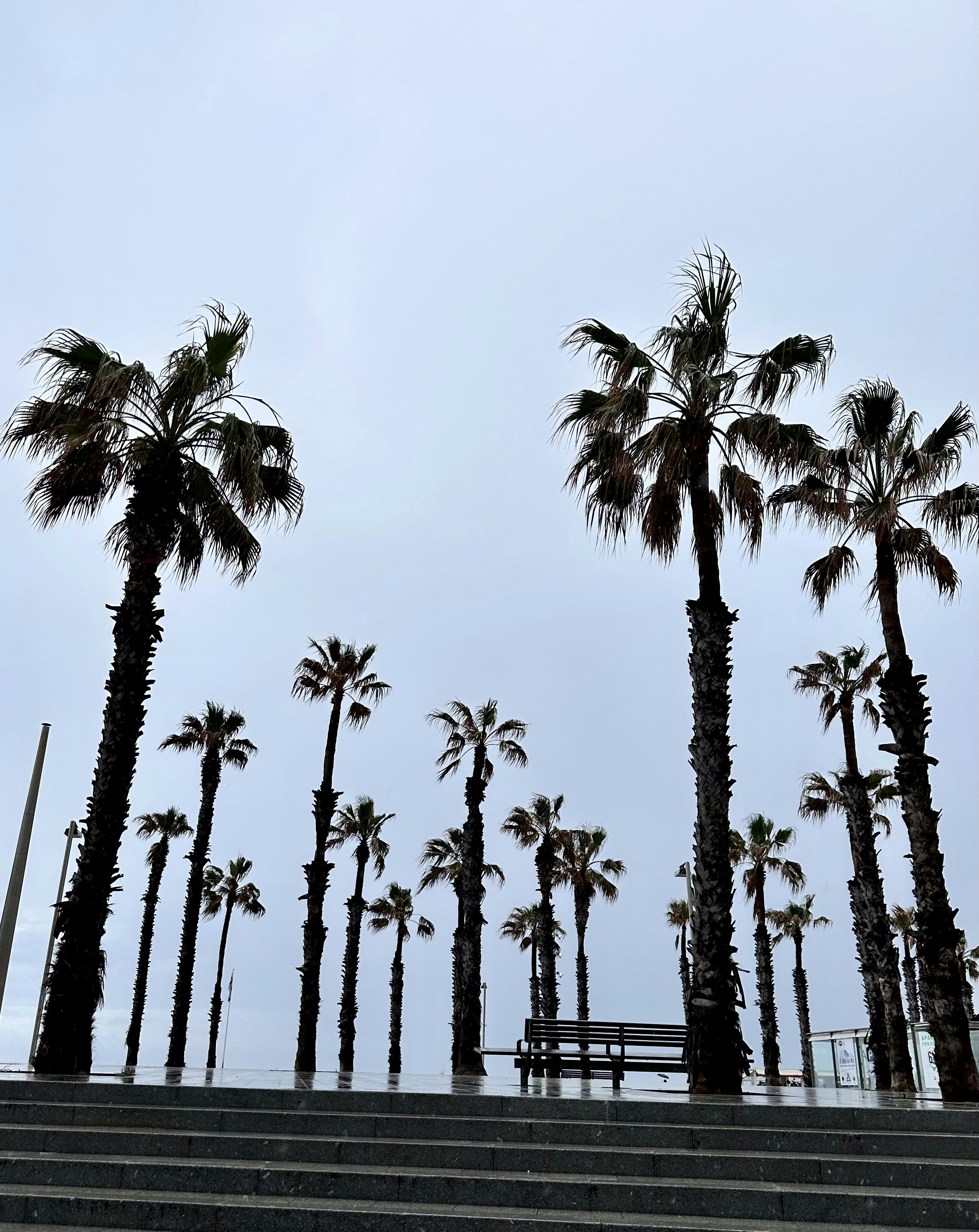 Photo by mariatejada