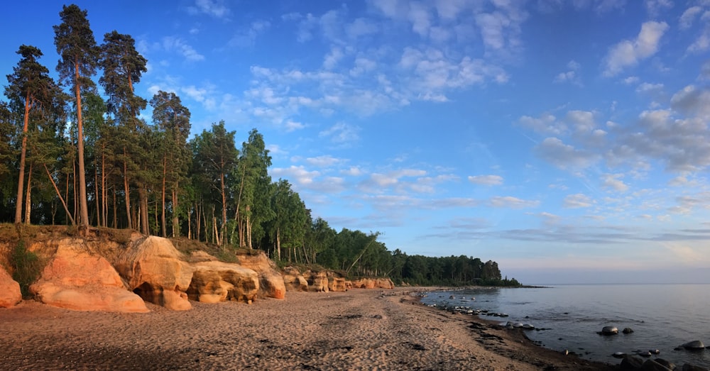 a beach with trees and rocks on the shore