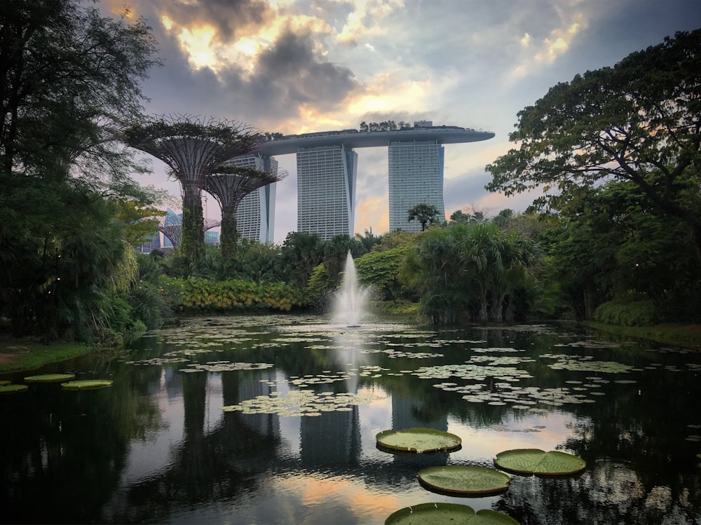 a pond with lily pads in front of a tall building