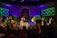 Under vibrant stage lights, a group of performers stands on stage, surrounded by colorful backdrops suggesting a natural theme with green and brown hues. They are engaged in a dance routine, with some individuals wearing costumes with bright elements like a blue tutu. An audience, visible in silhouette, watches and raises arms, creating an interactive atmosphere.