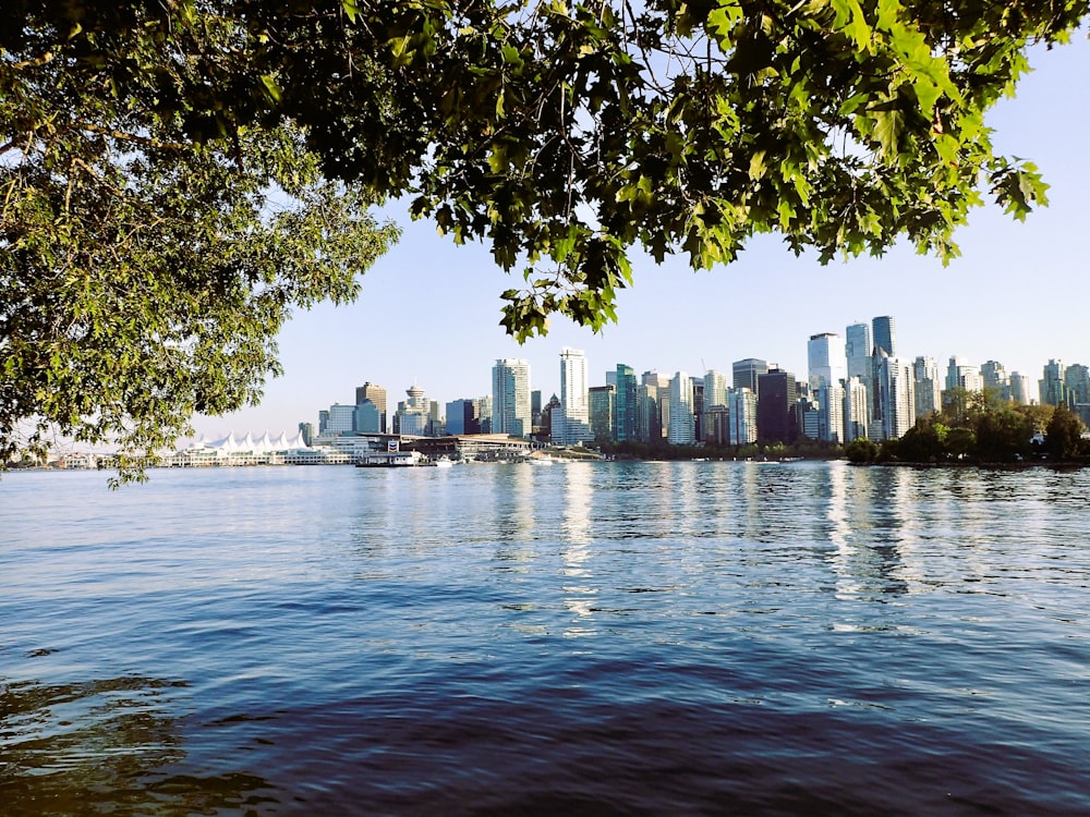 a large body of water with a city in the background