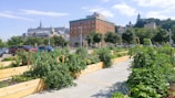A community garden with wooden planters filled with lush green plants, set against an urban background. There are several trees and a large brick building with a historic architecture style. Cars are parked on the street, and hills with more buildings are visible in the background under a blue sky with few clouds.