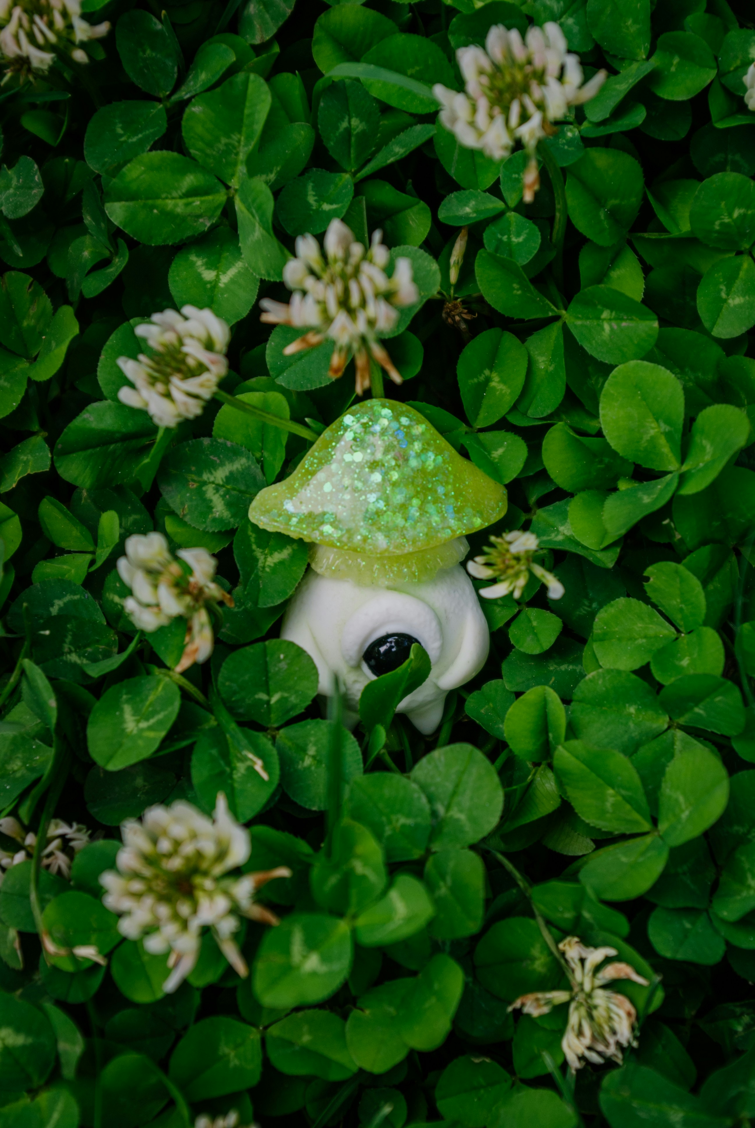 Un pequeño hongo verde sentado en medio de un campo de flores foto – Imagen  de Flor gratuita en Unsplash, image size:3000x4481