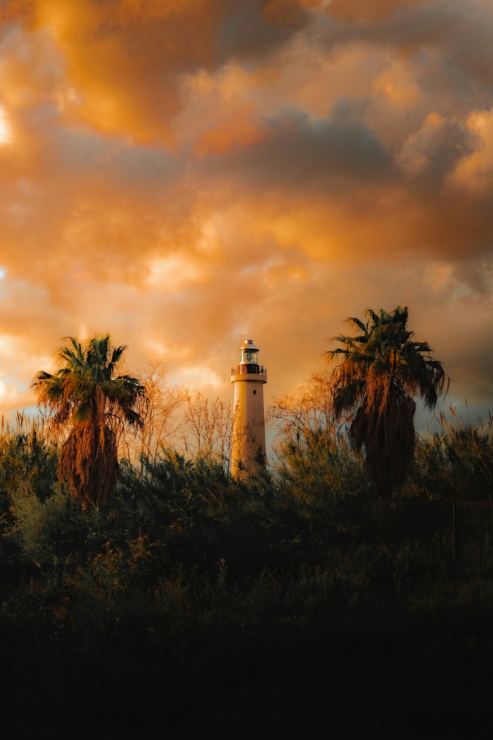 a light house sitting on top of a lush green hillside