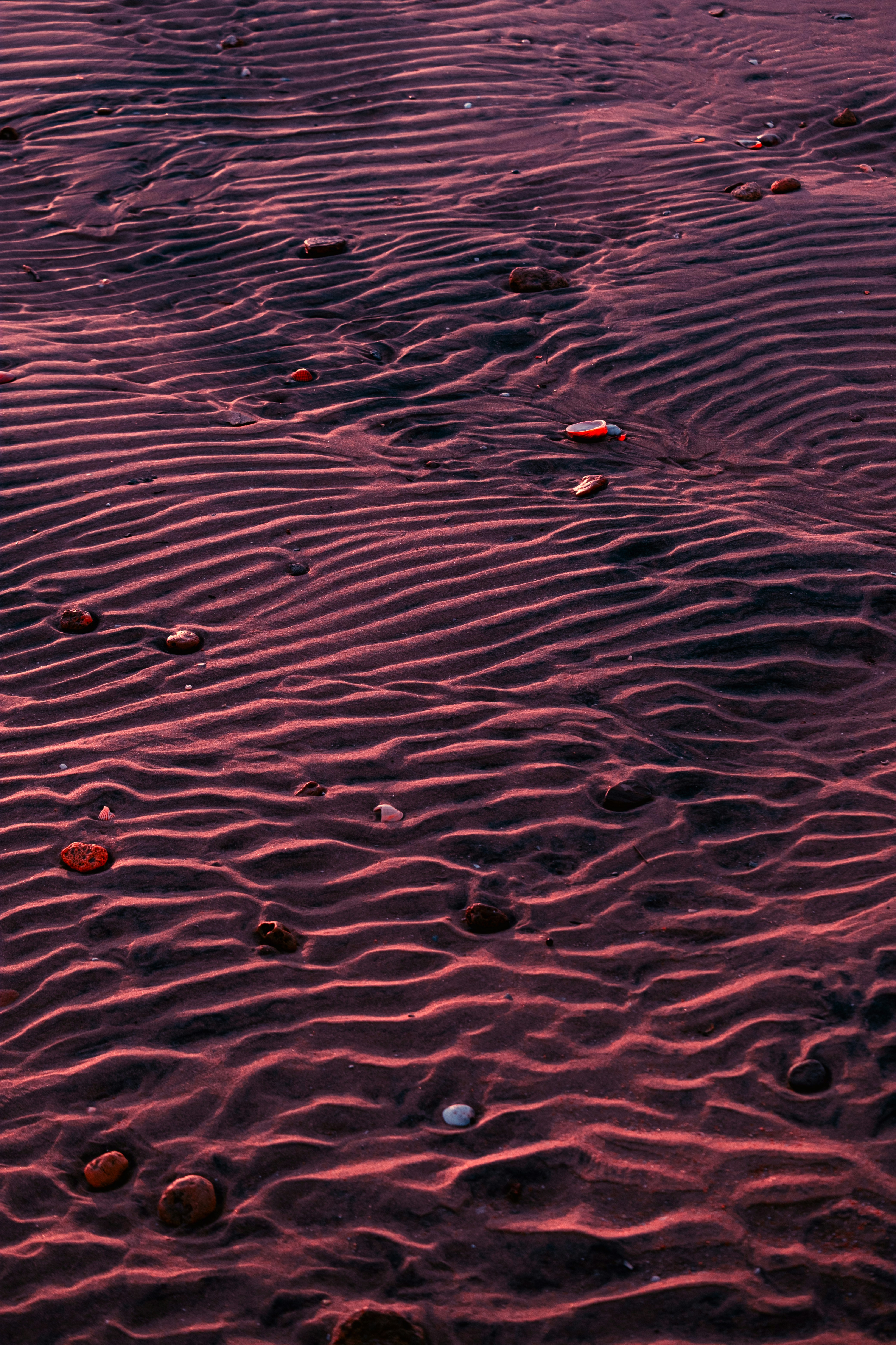 a sandy beach covered in lots of rocks