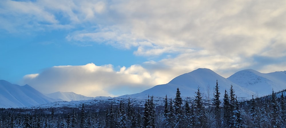 a snow covered mountain range with trees in the foreground