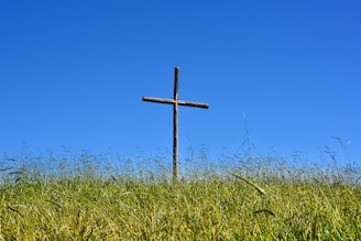 A rustic cross standing tall in a peaceful field under a bright blue sky