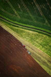 Aerial view of a contrasting agricultural landscape with lush green fields and freshly plowed brown soil. Two tractors are visible, one red and one green, working in the field. A flock of birds appears to be following the tractors, likely searching for insects. The fields have distinct patterns and lines, indicating organized farming practices.