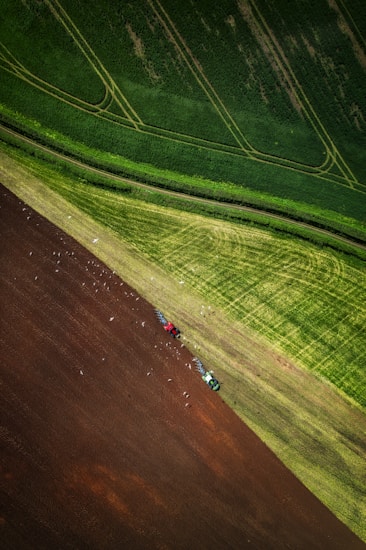 Aerial view of a contrasting agricultural landscape with lush green fields and freshly plowed brown soil. Two tractors are visible, one red and one green, working in the field. A flock of birds appears to be following the tractors, likely searching for insects. The fields have distinct patterns and lines, indicating organized farming practices.