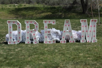 Large block letters spelling out the word 'DREAM' are standing on a grassy area. The letters are decorated with pink lights, and fluffy white material resembling clouds is arranged behind them.