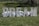 Large block letters spelling out the word 'DREAM' are standing on a grassy area. The letters are decorated with pink lights, and fluffy white material resembling clouds is arranged behind them.